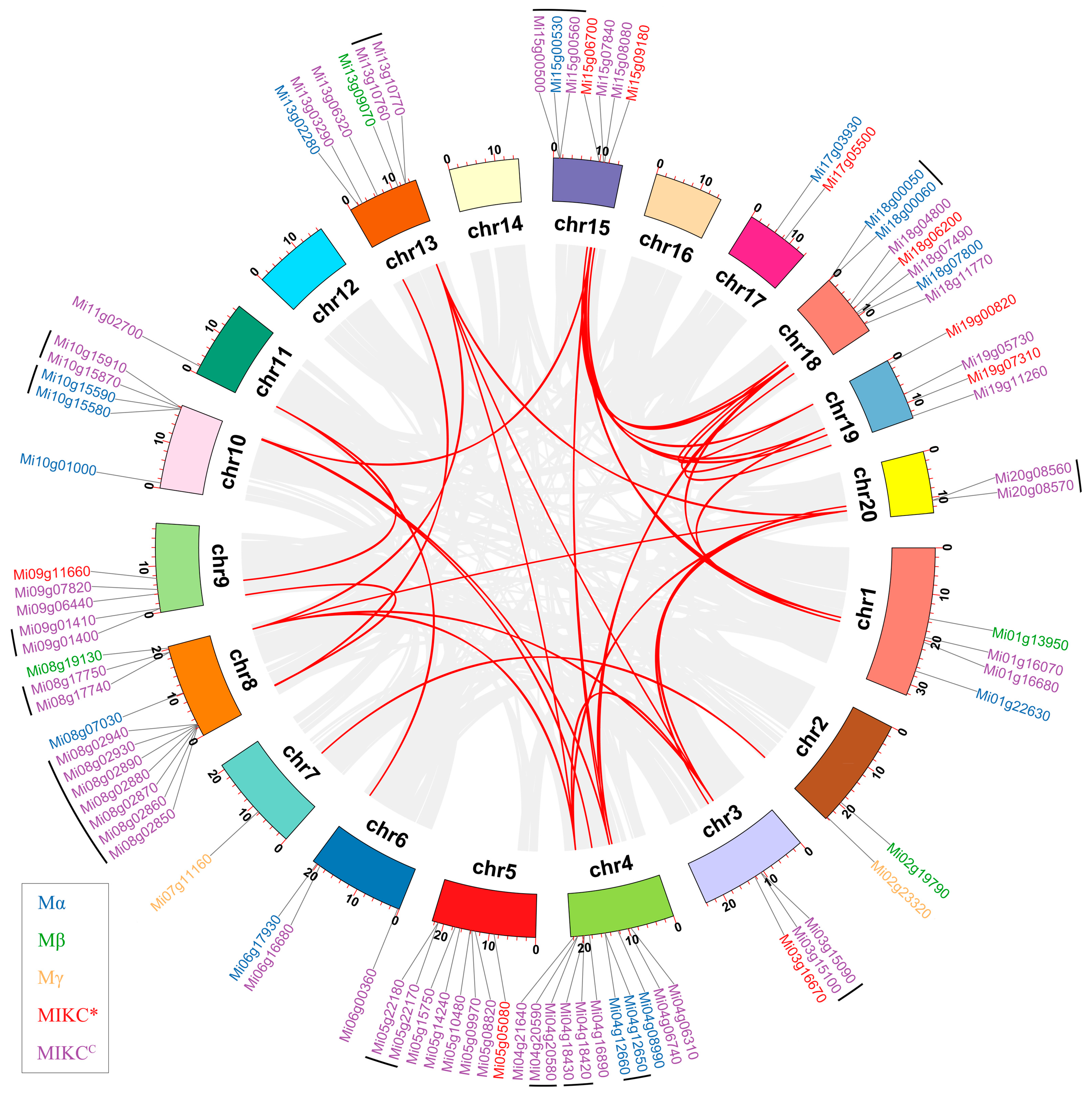 Horticulturae 09 01289 g003