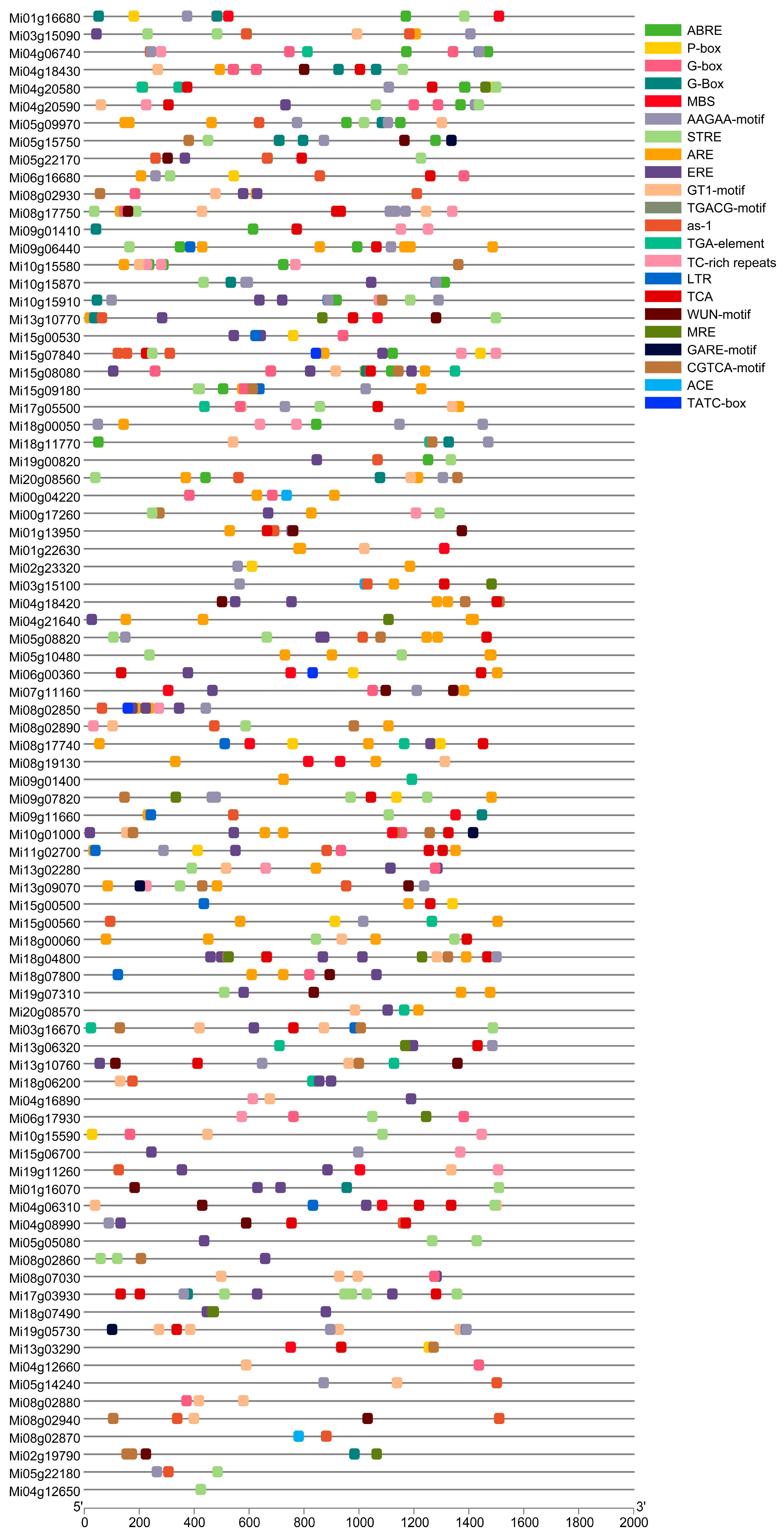 Horticulturae 09 01289 g004