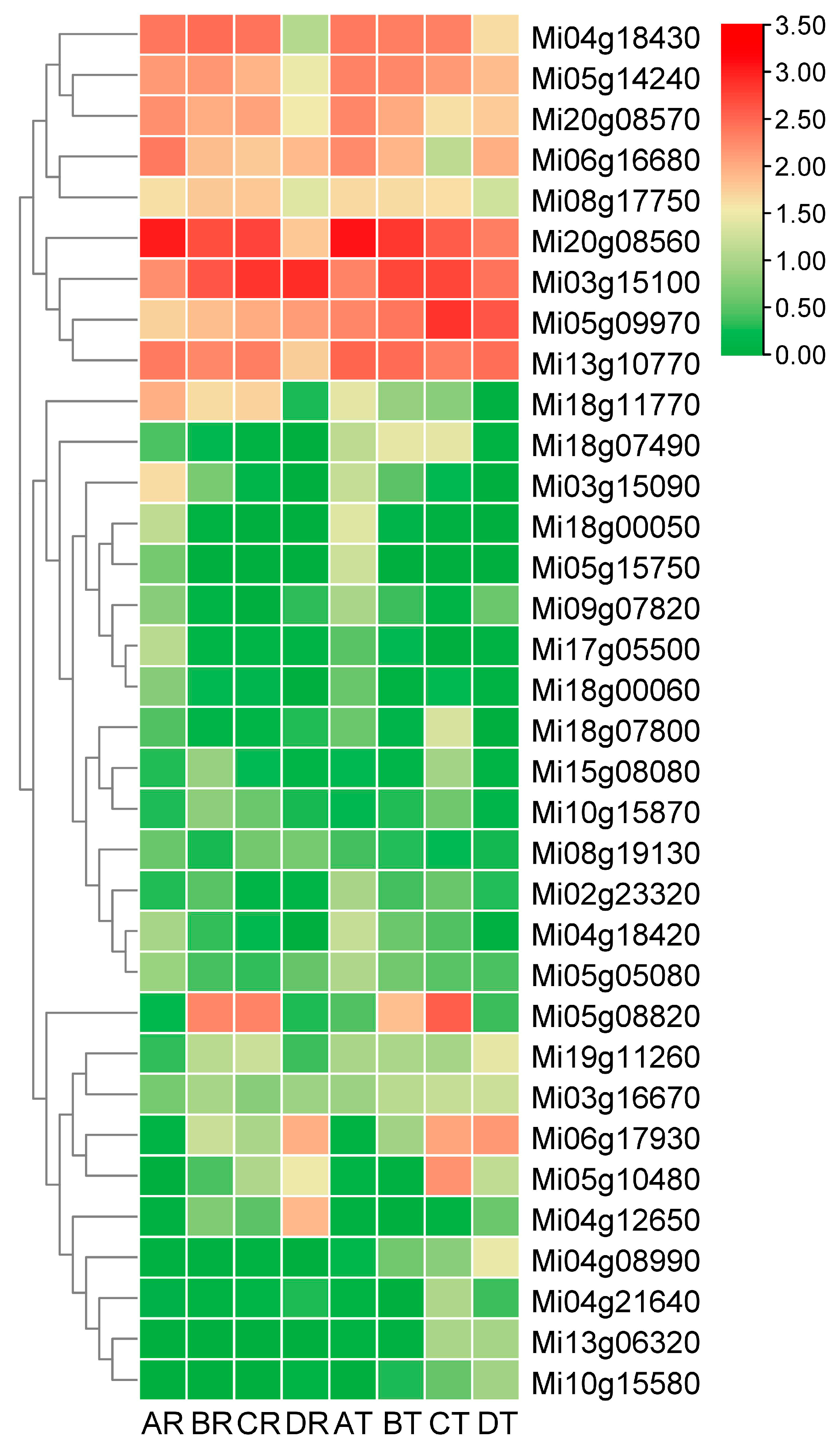 Horticulturae 09 01289 g005