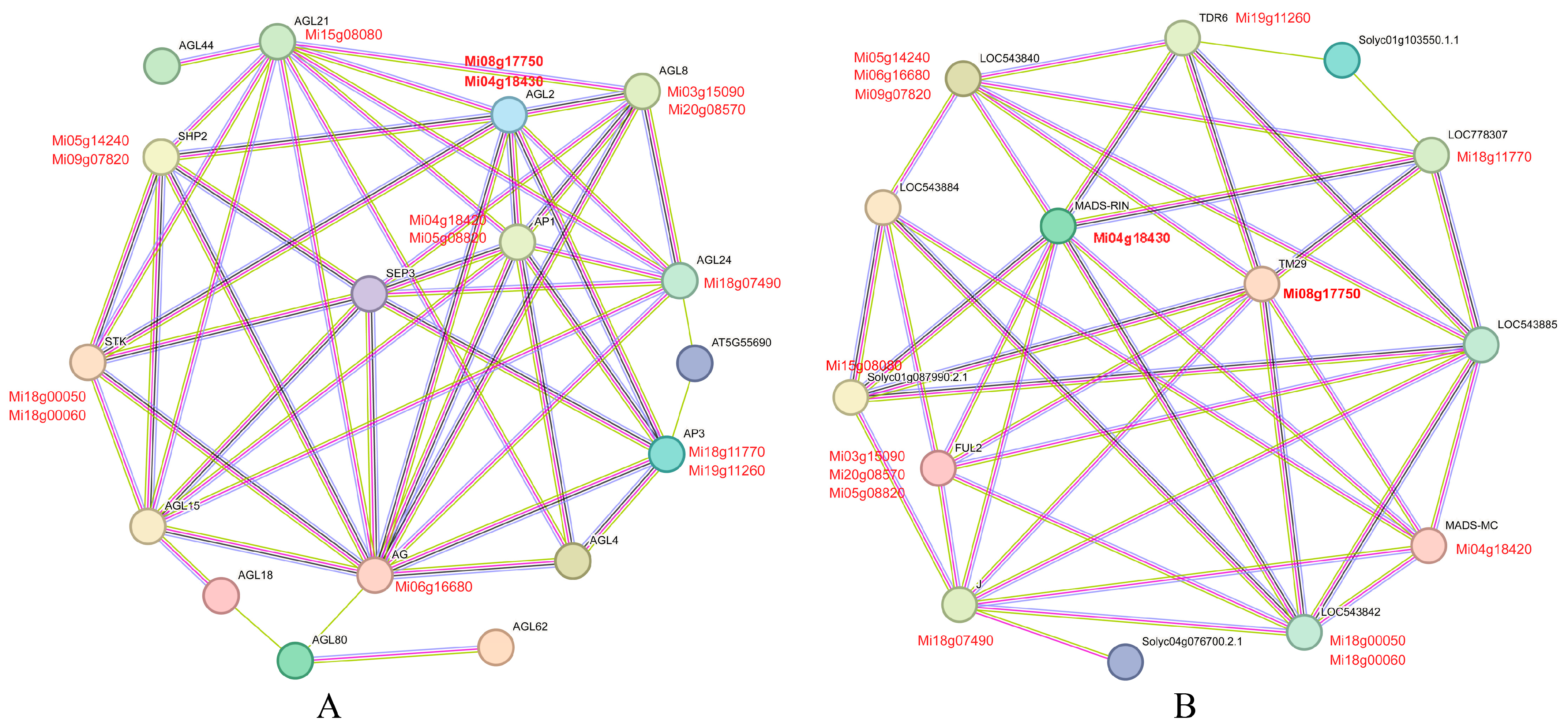 Horticulturae 09 01289 g007