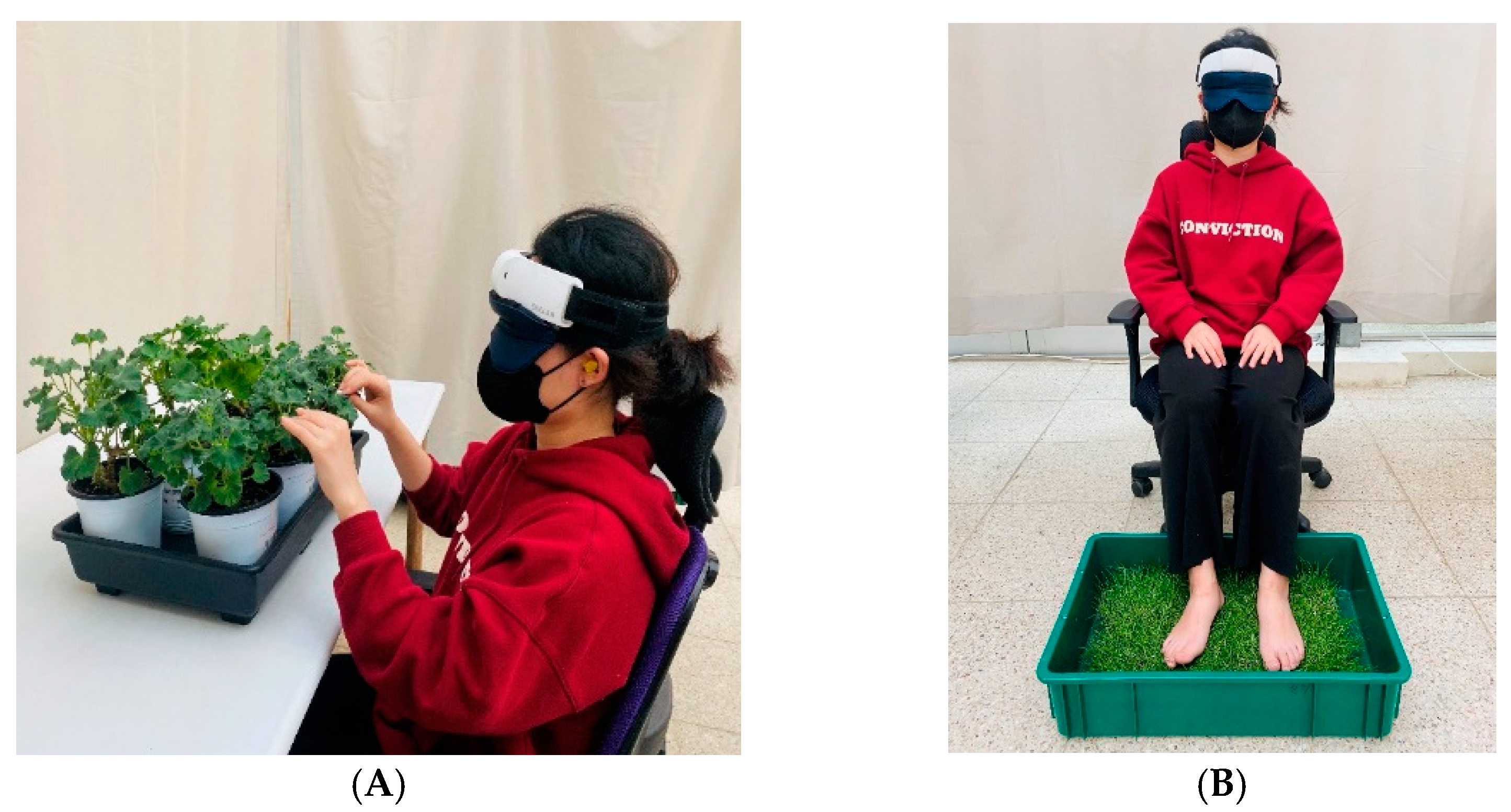 Horticulturae 09 01293 g002