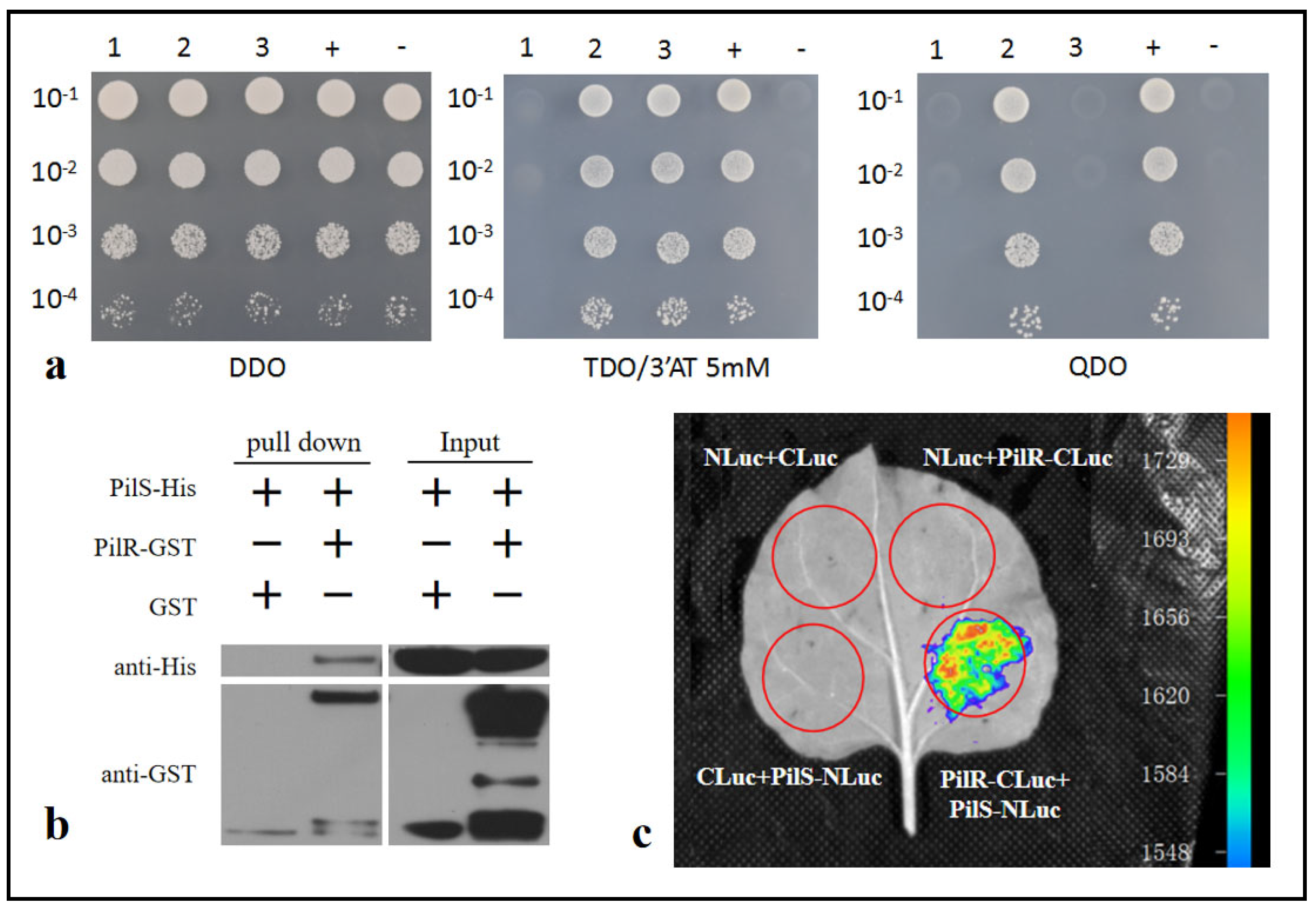 Horticulturae 09 01296 g006