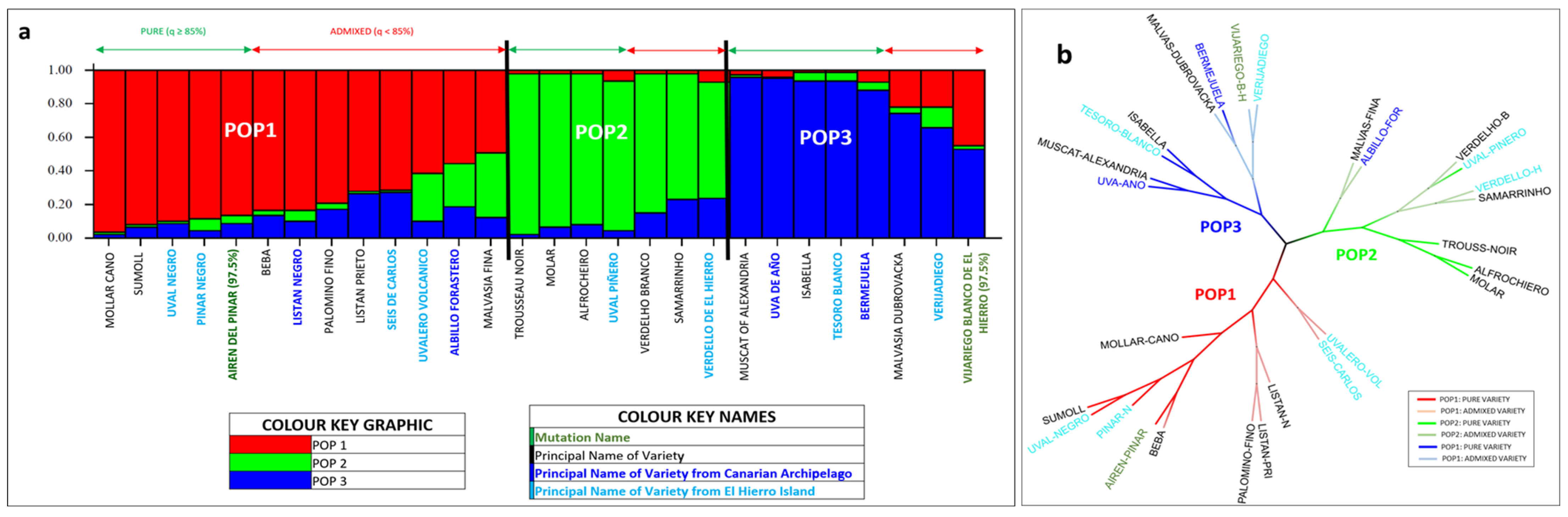 Horticulturae 09 01297 g003