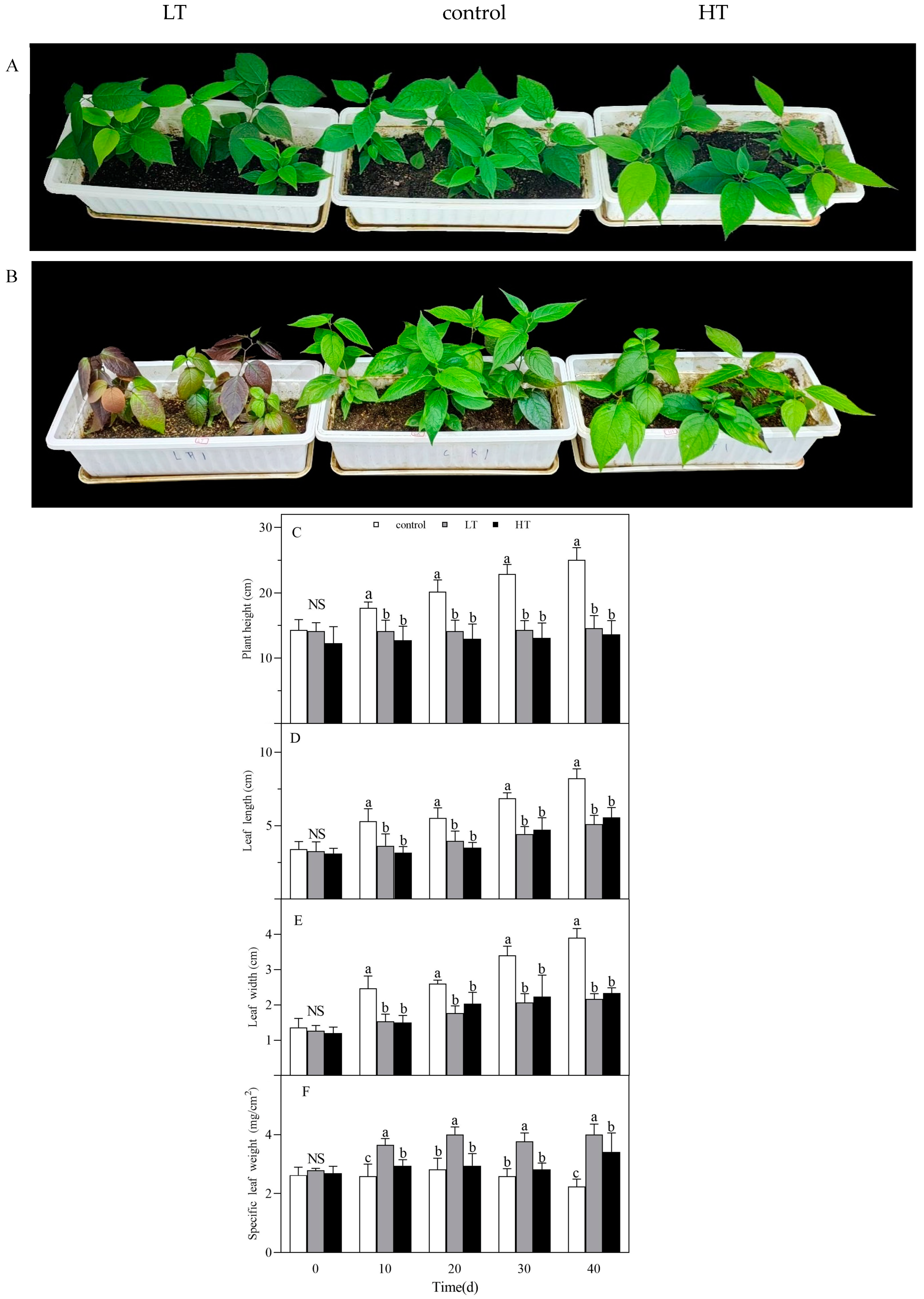 Horticulturae 09 01298 g001