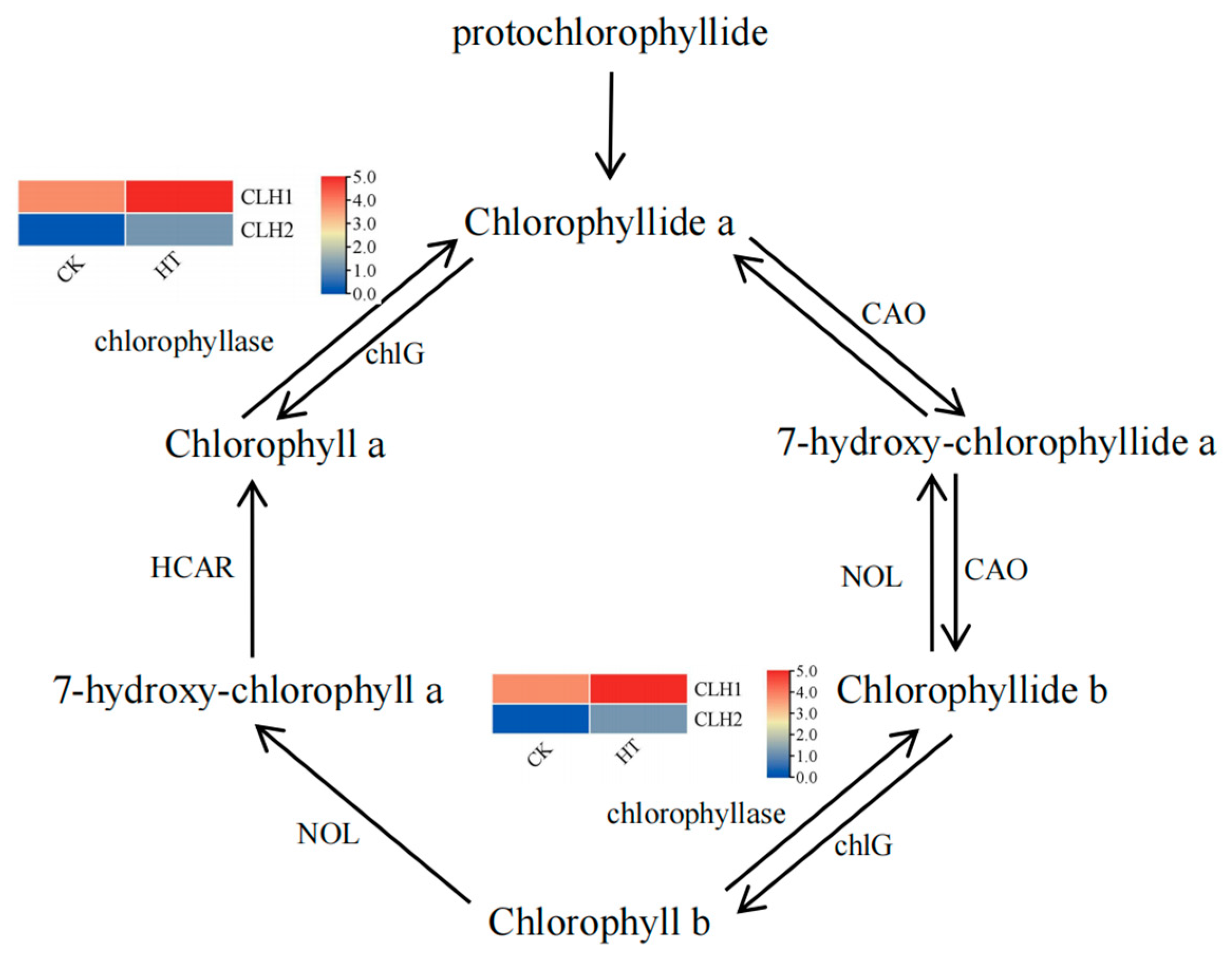 Horticulturae 09 01298 g006