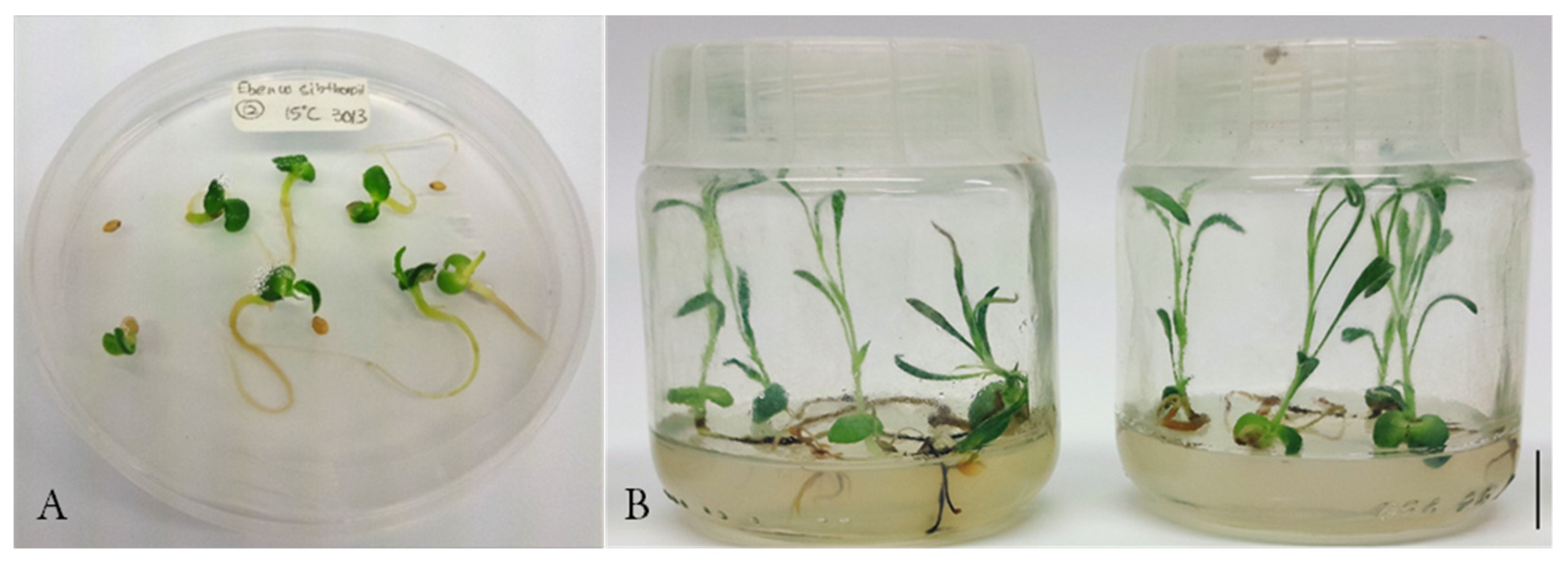 Horticulturae 09 01300 g003