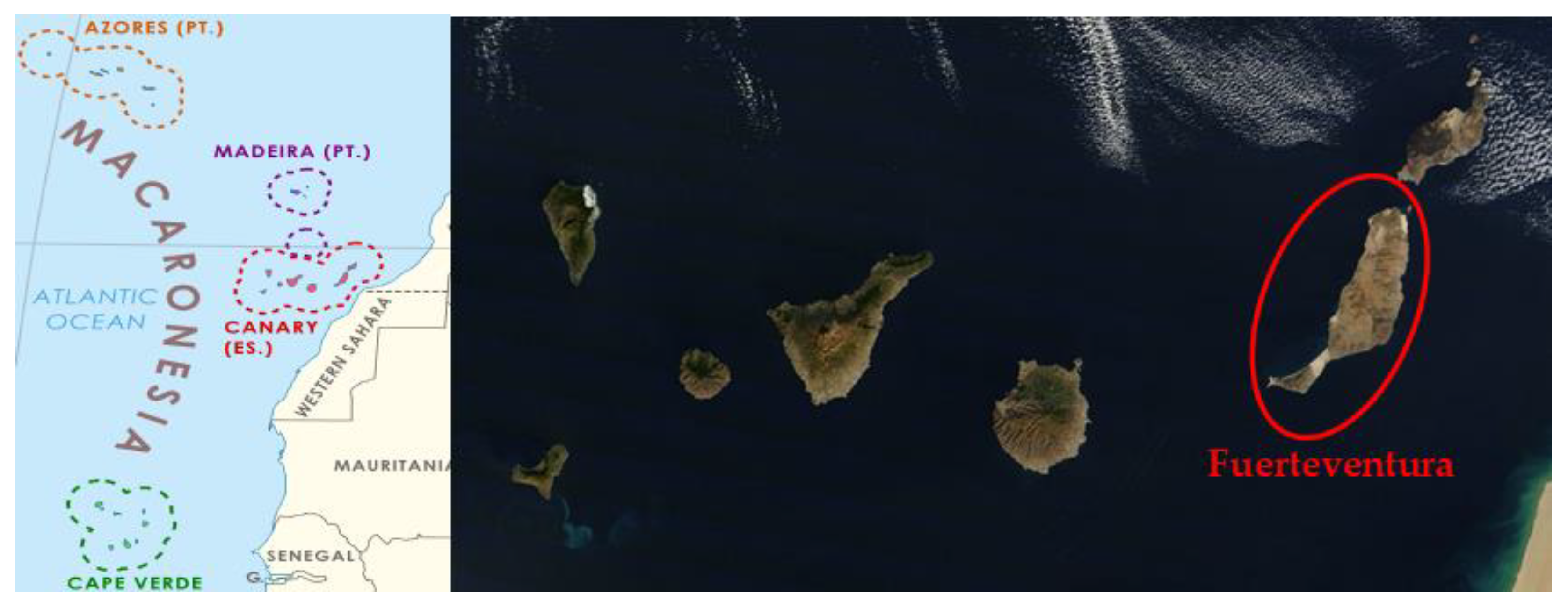 Horticulturae 09 01301 g001