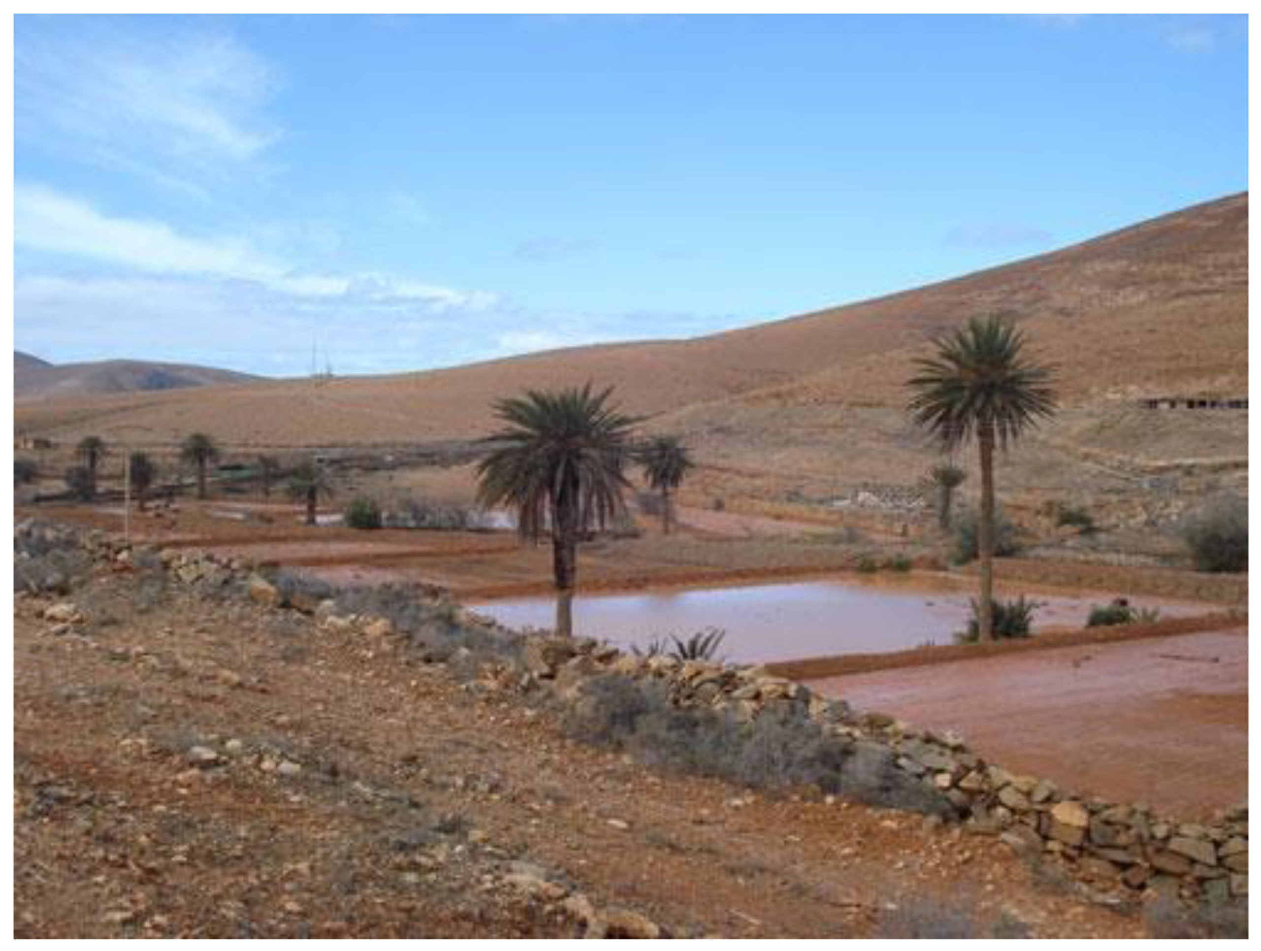 Horticulturae 09 01301 g002