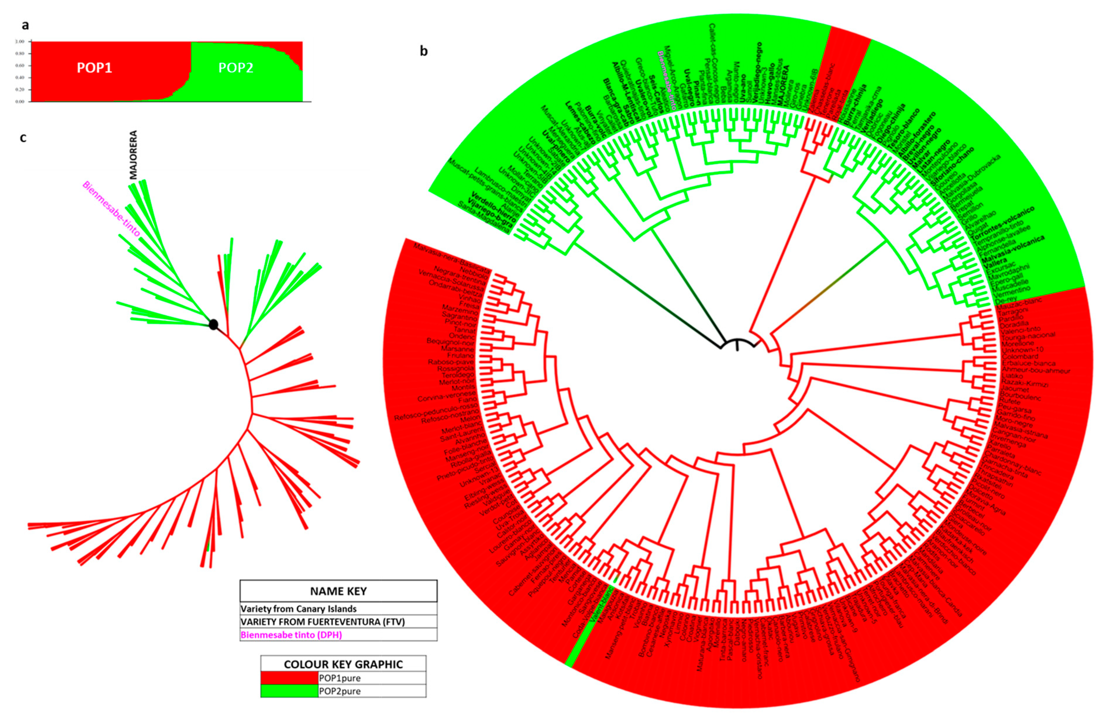 Horticulturae 09 01301 g006