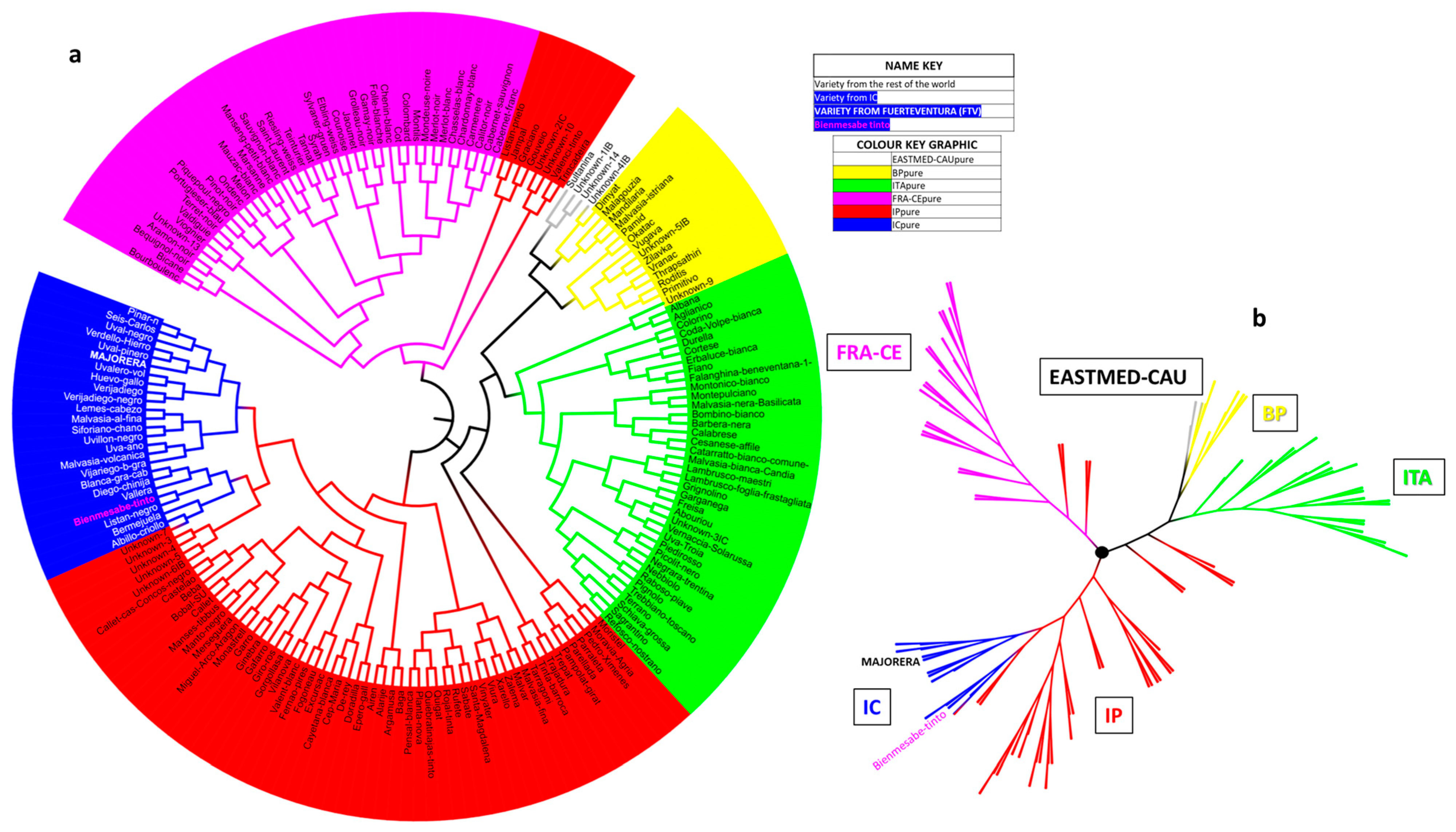 Horticulturae 09 01301 g008