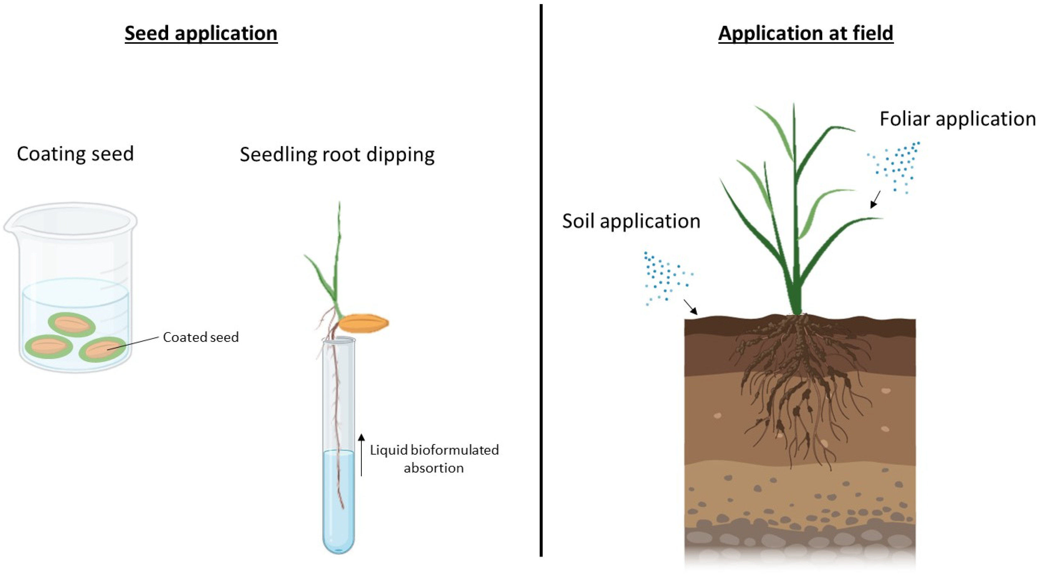 Horticulturae 09 01306 g003 Horticulturae 09 01306 g003