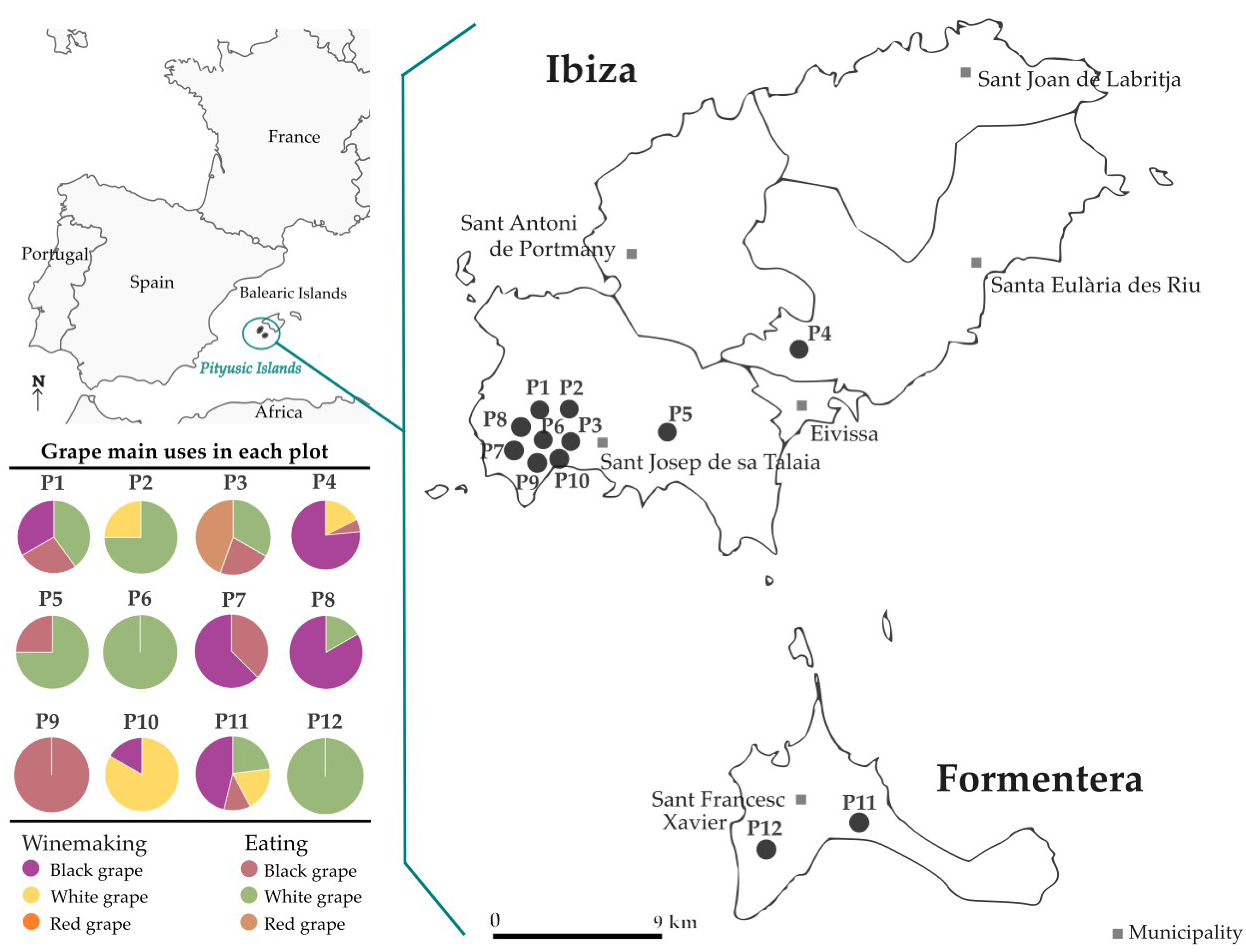 Horticulturae 09 01307 g001