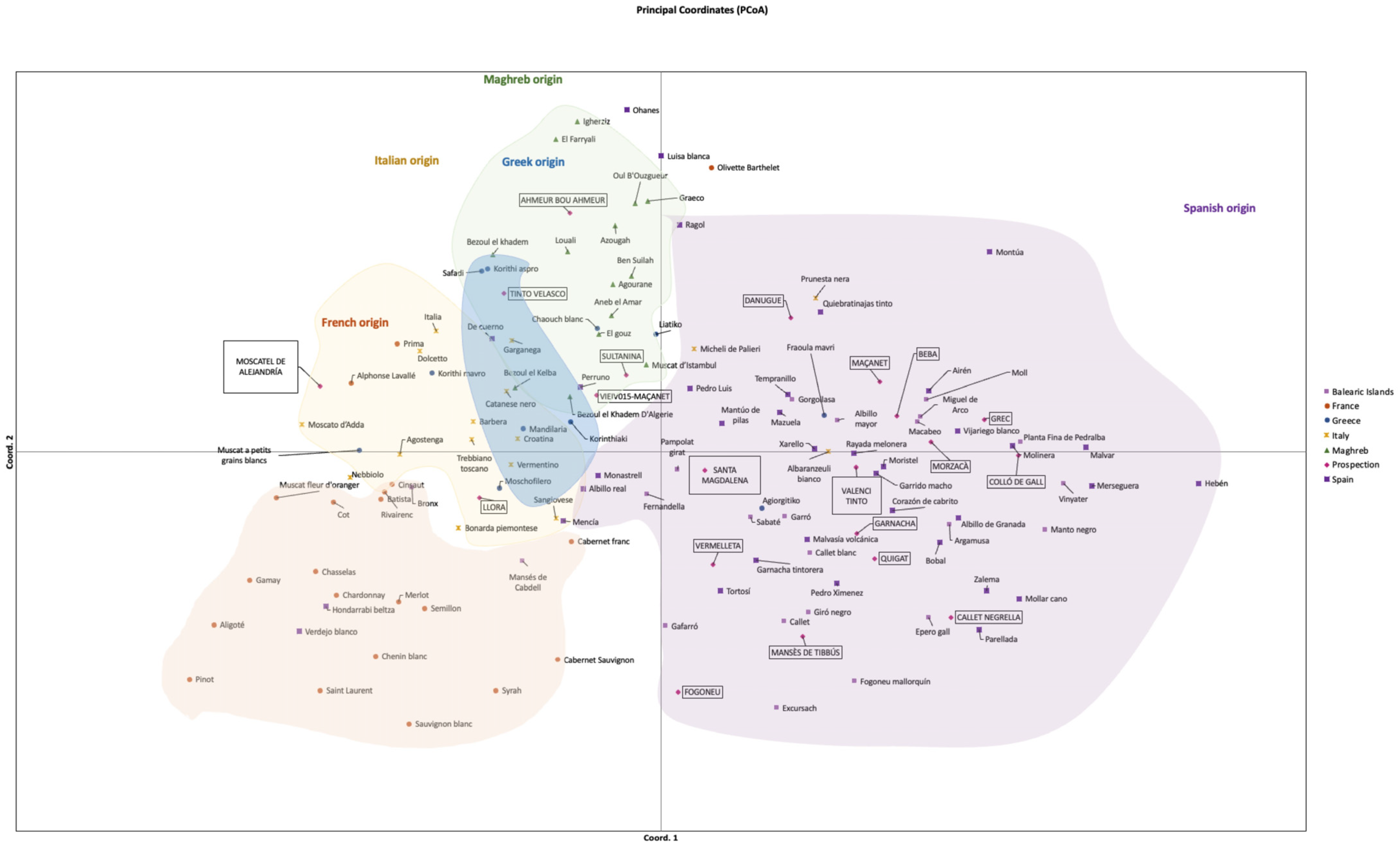 Horticulturae 09 01307 g004