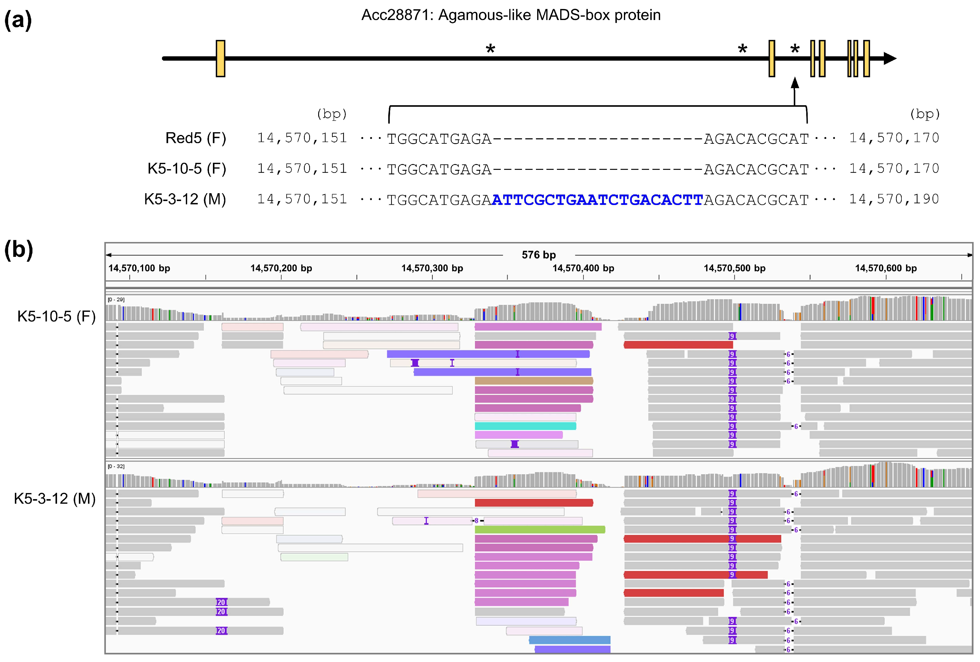 Horticulturae 09 01310 g001 Horticulturae 09 01310 g001