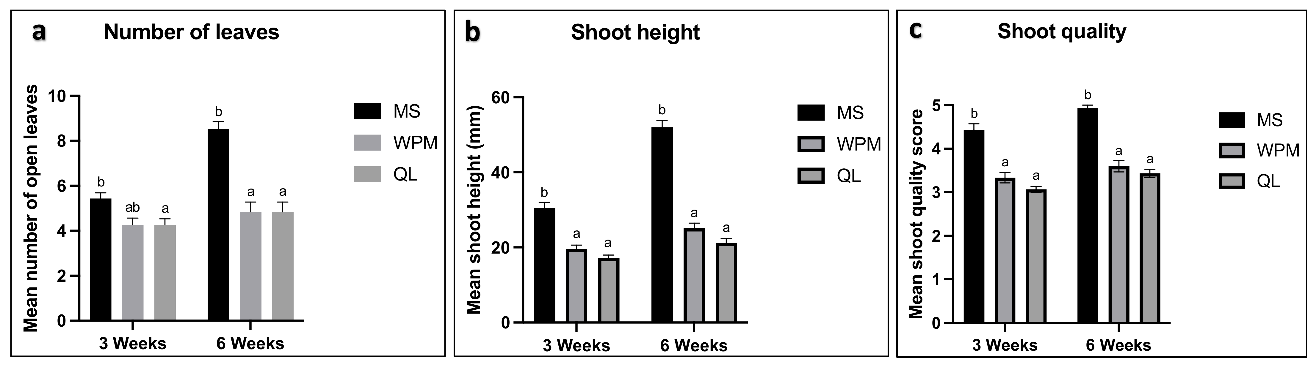 Horticulturae 09 01313 g002 Horticulturae 09 01313 g002