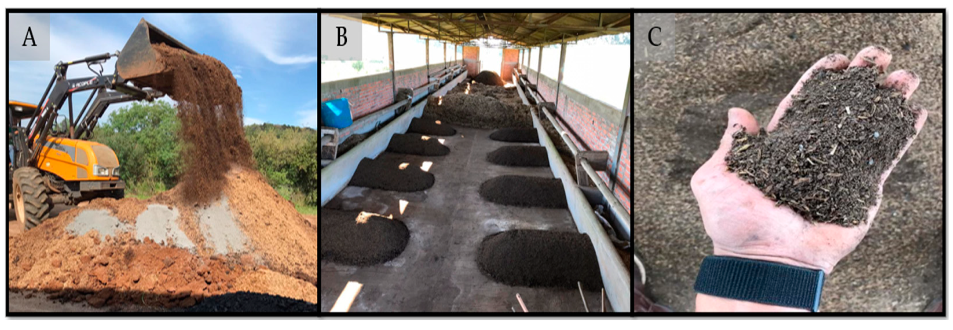 Horticulturae 09 01314 g001 Horticulturae 09 01314 g001