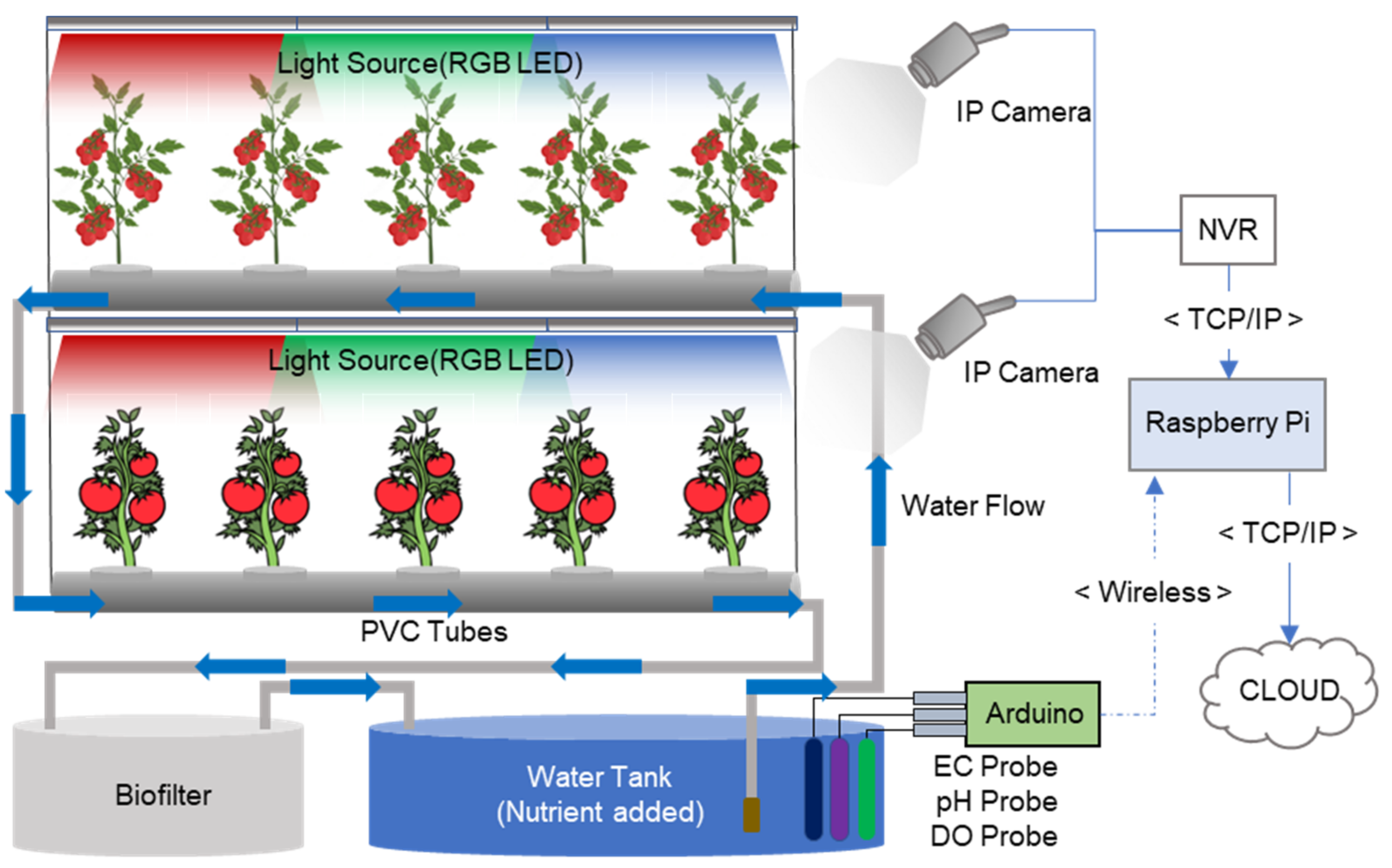 Horticulturae 09 01318 g001 Horticulturae 09 01318 g001