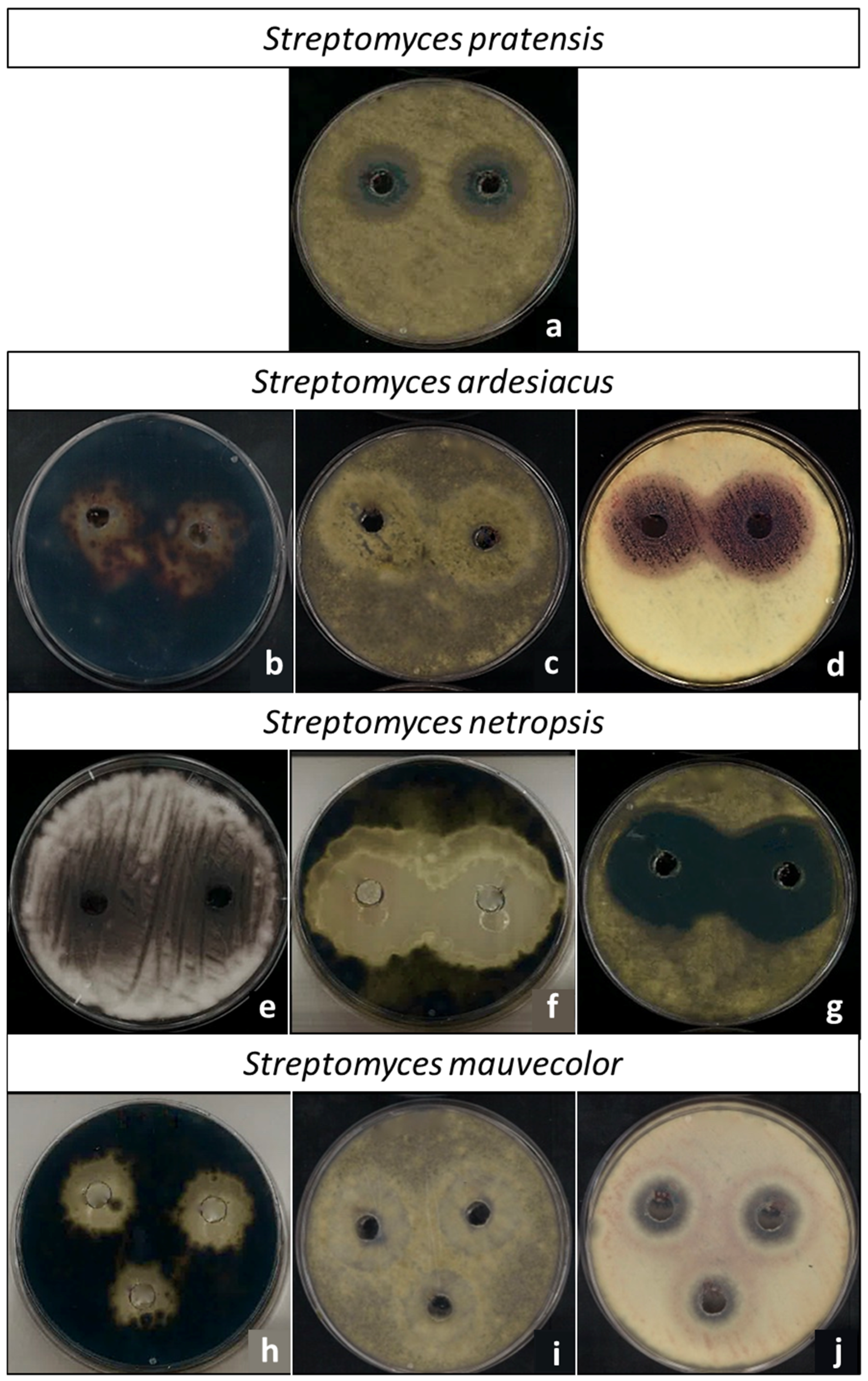 Horticulturae 09 01319 g003