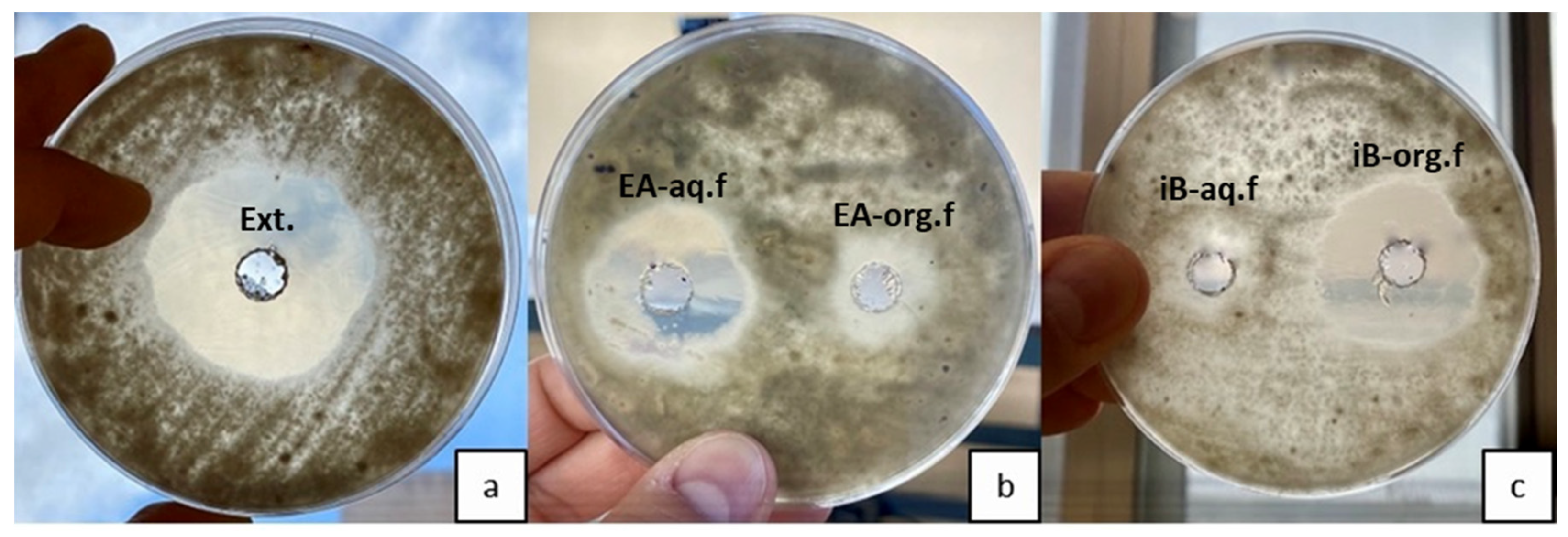 Horticulturae 09 01319 g004