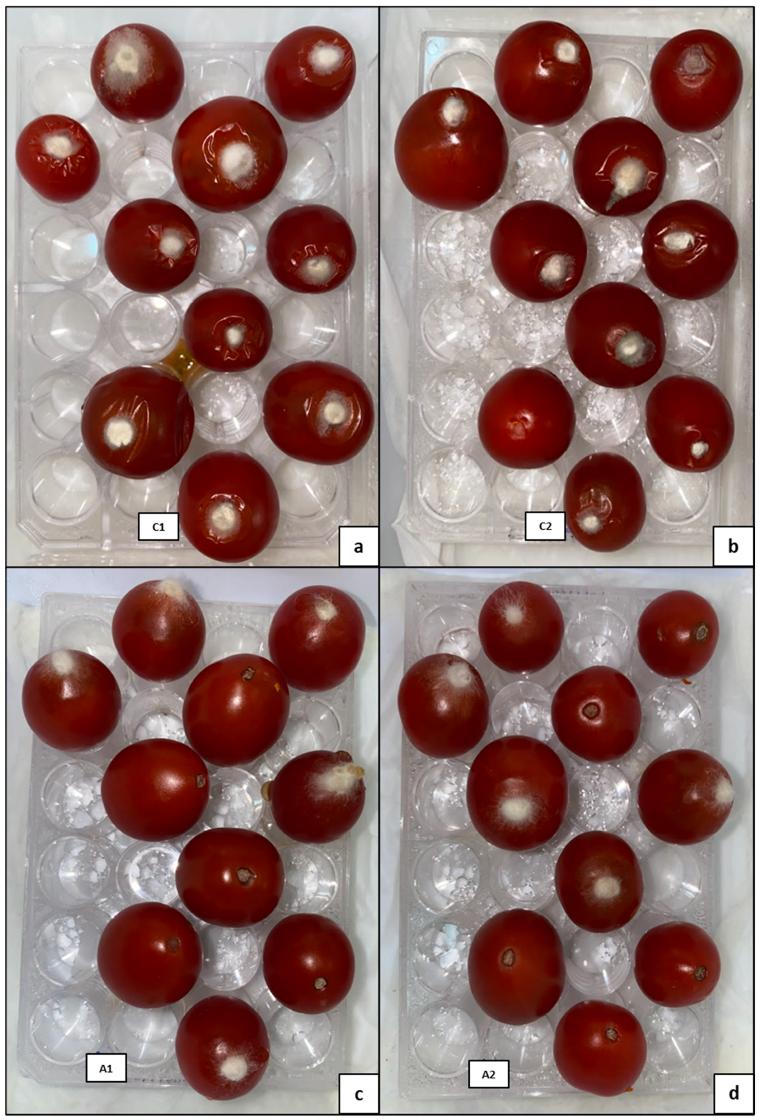 Horticulturae 09 01319 g005