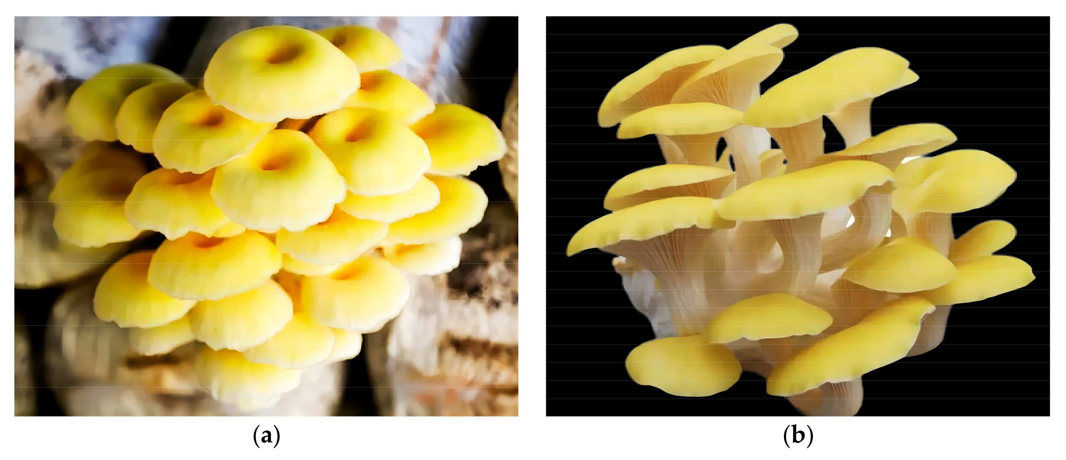 Horticulturae 09 01322 g001