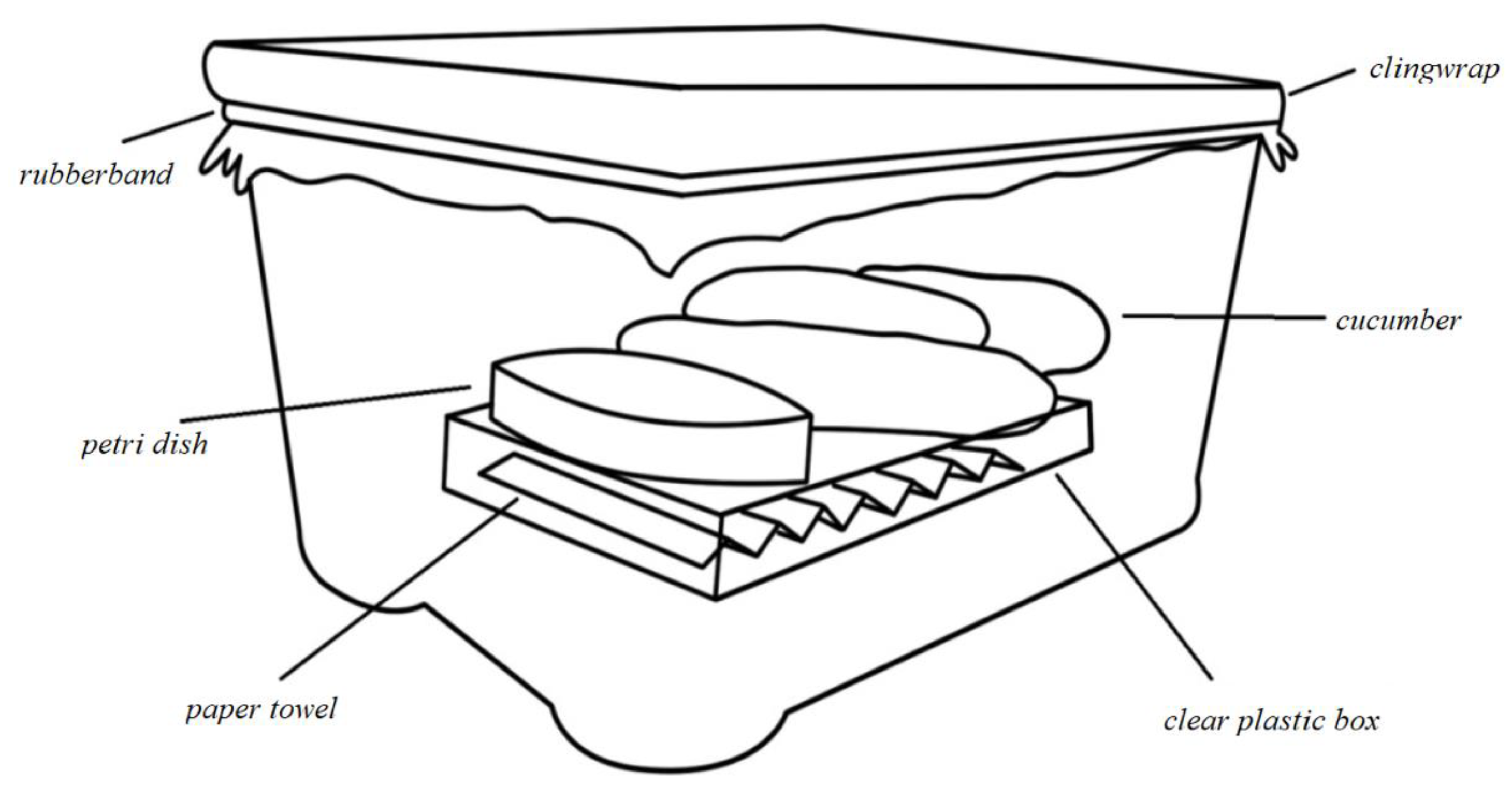 Horticulturae 09 01327 g001 Horticulturae 09 01327 g001