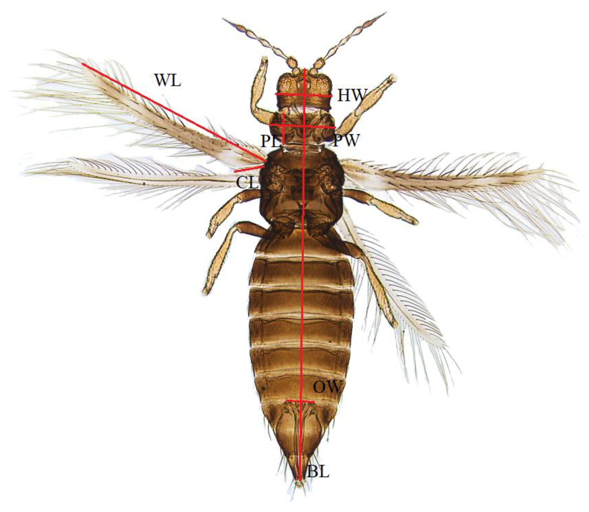 Horticulturae 09 01327 g003 Horticulturae 09 01327 g003