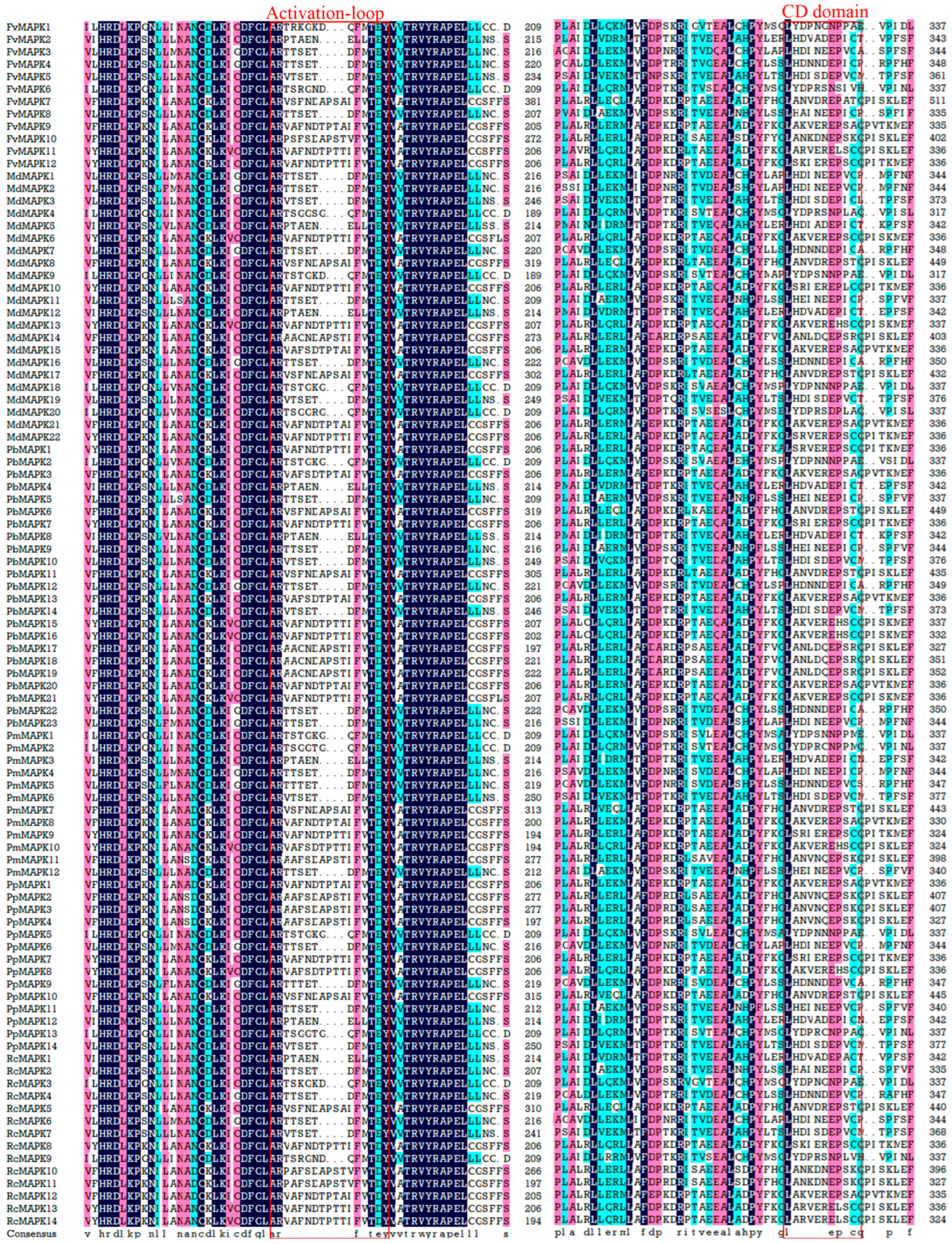 Horticulturae 09 01328 g001