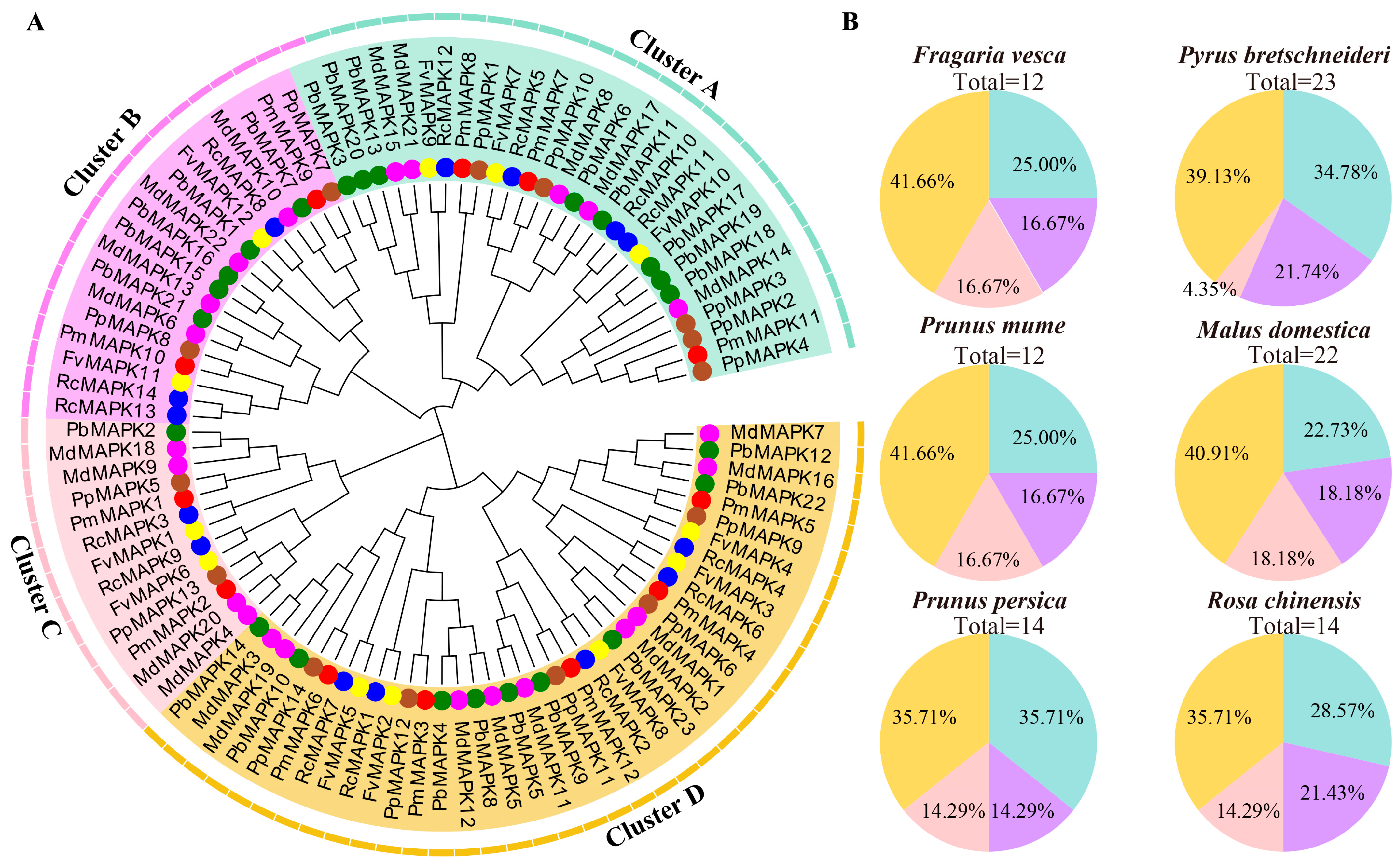 Horticulturae 09 01328 g002