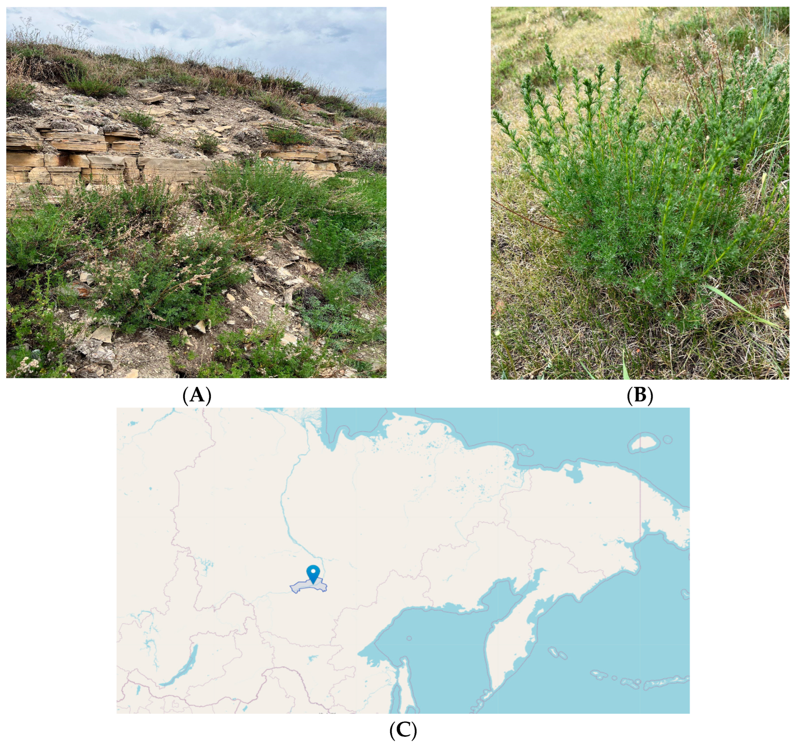 Horticulturae 09 01329 g001