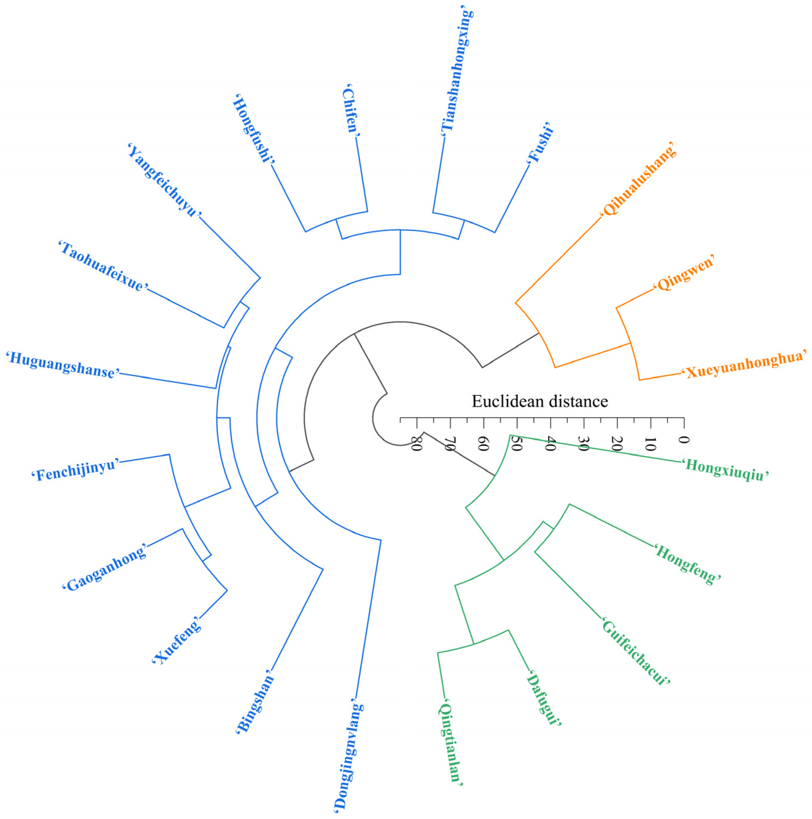 Horticulturae 09 01331 g007