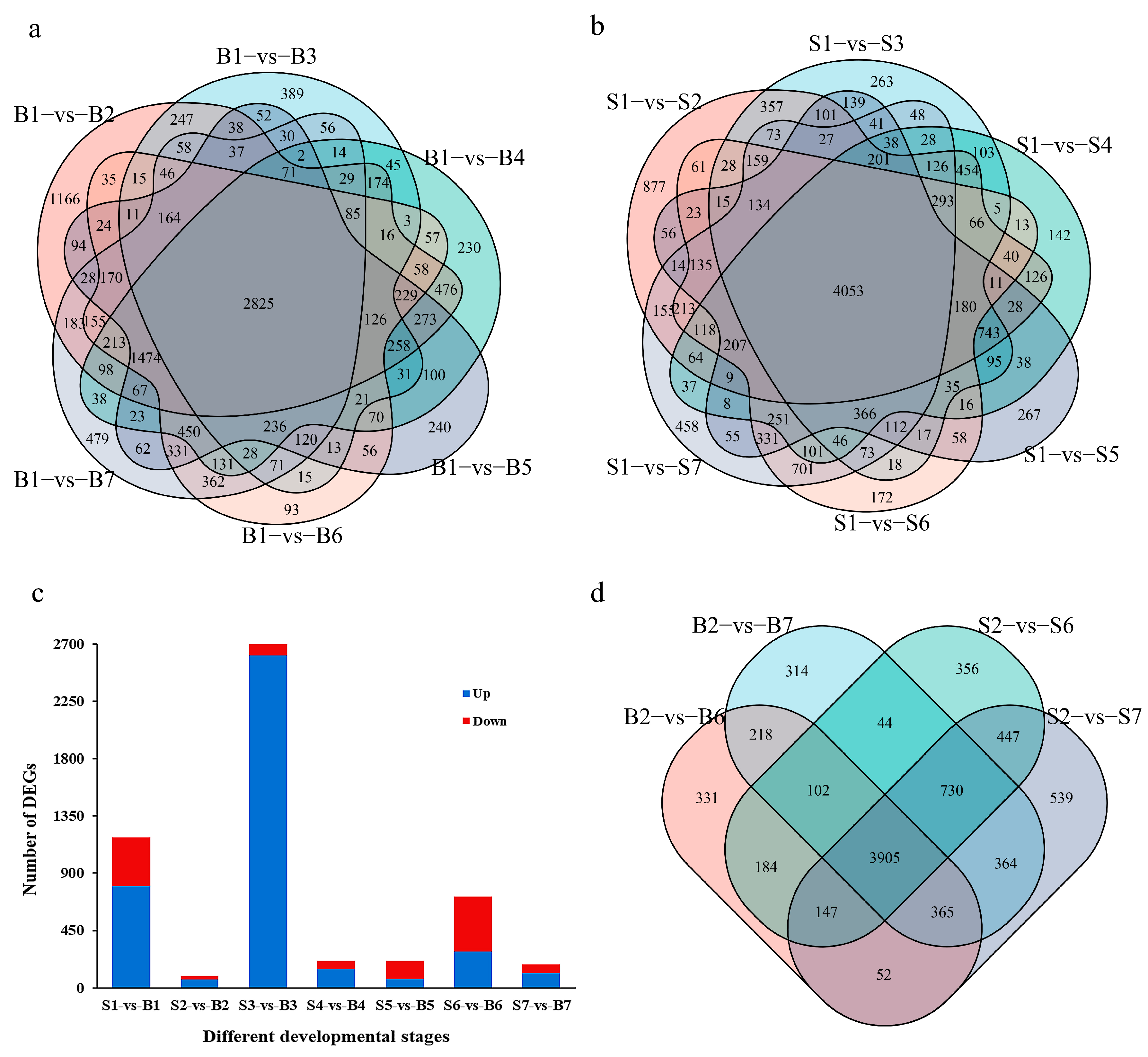 Horticulturae 09 01335 g002