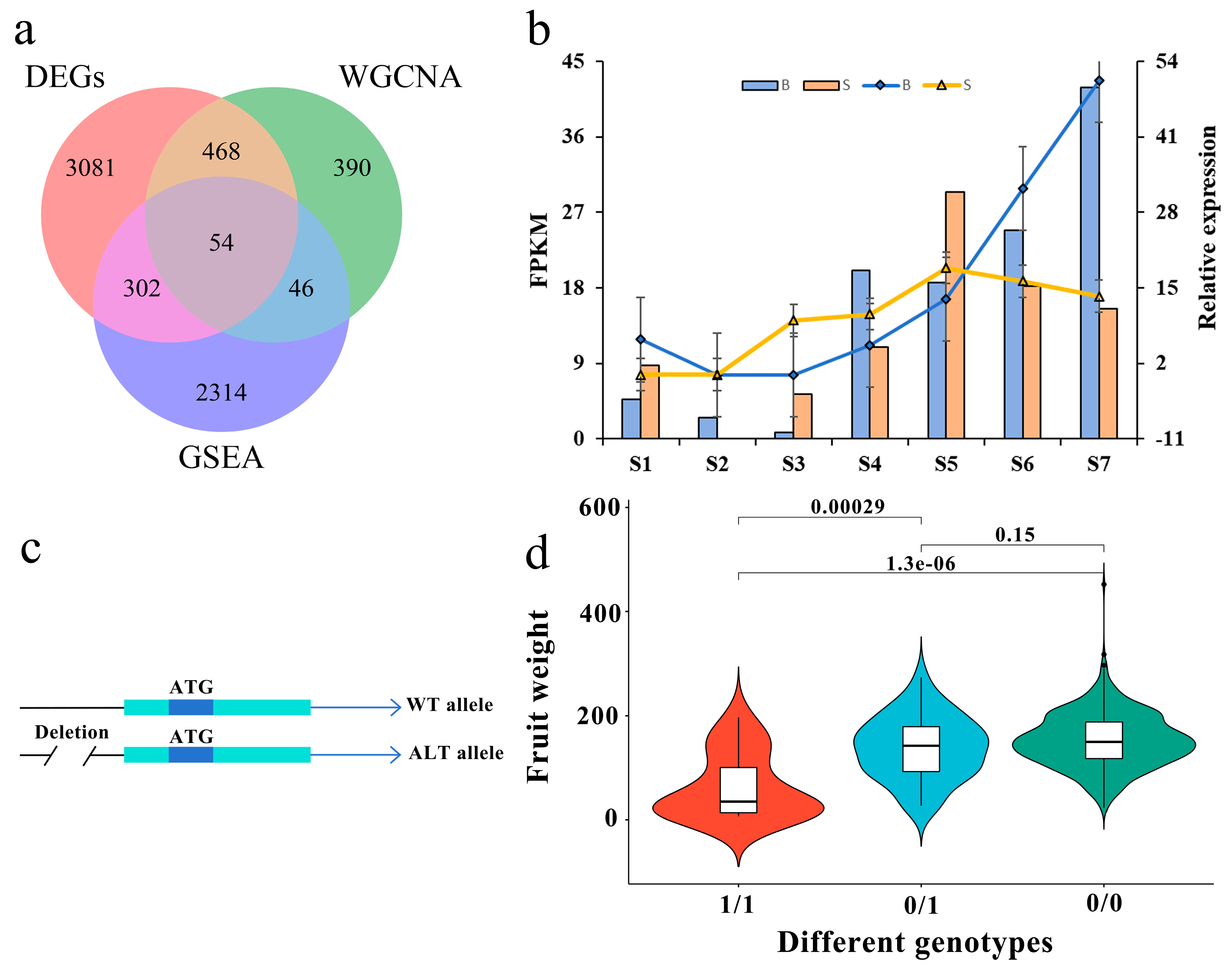 Horticulturae 09 01335 g004