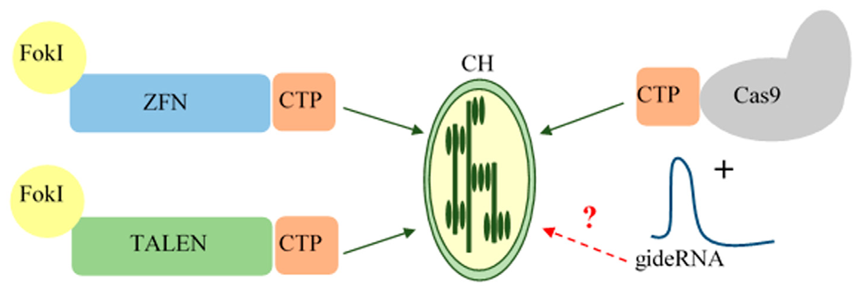 Horticulturae 09 01338 g001