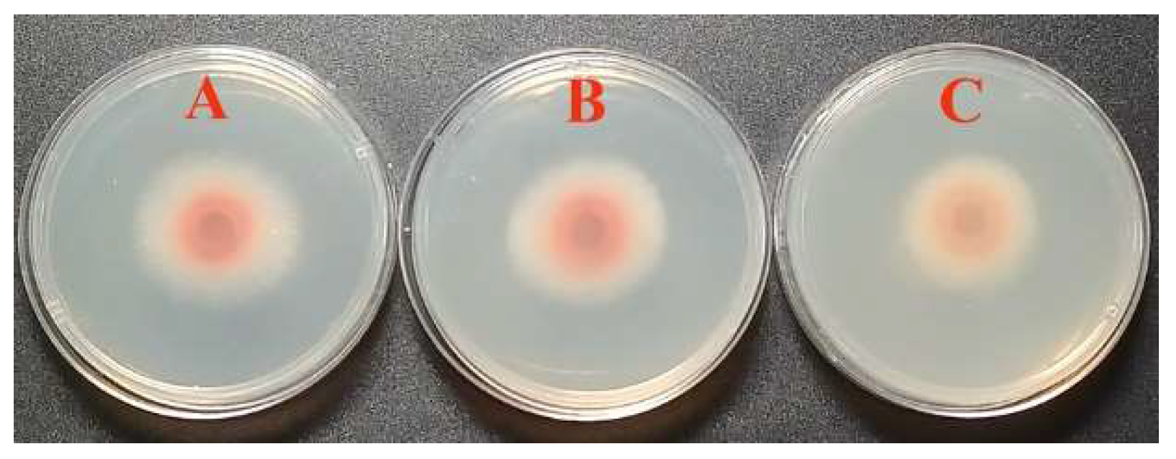 Horticulturae 09 01340 g001