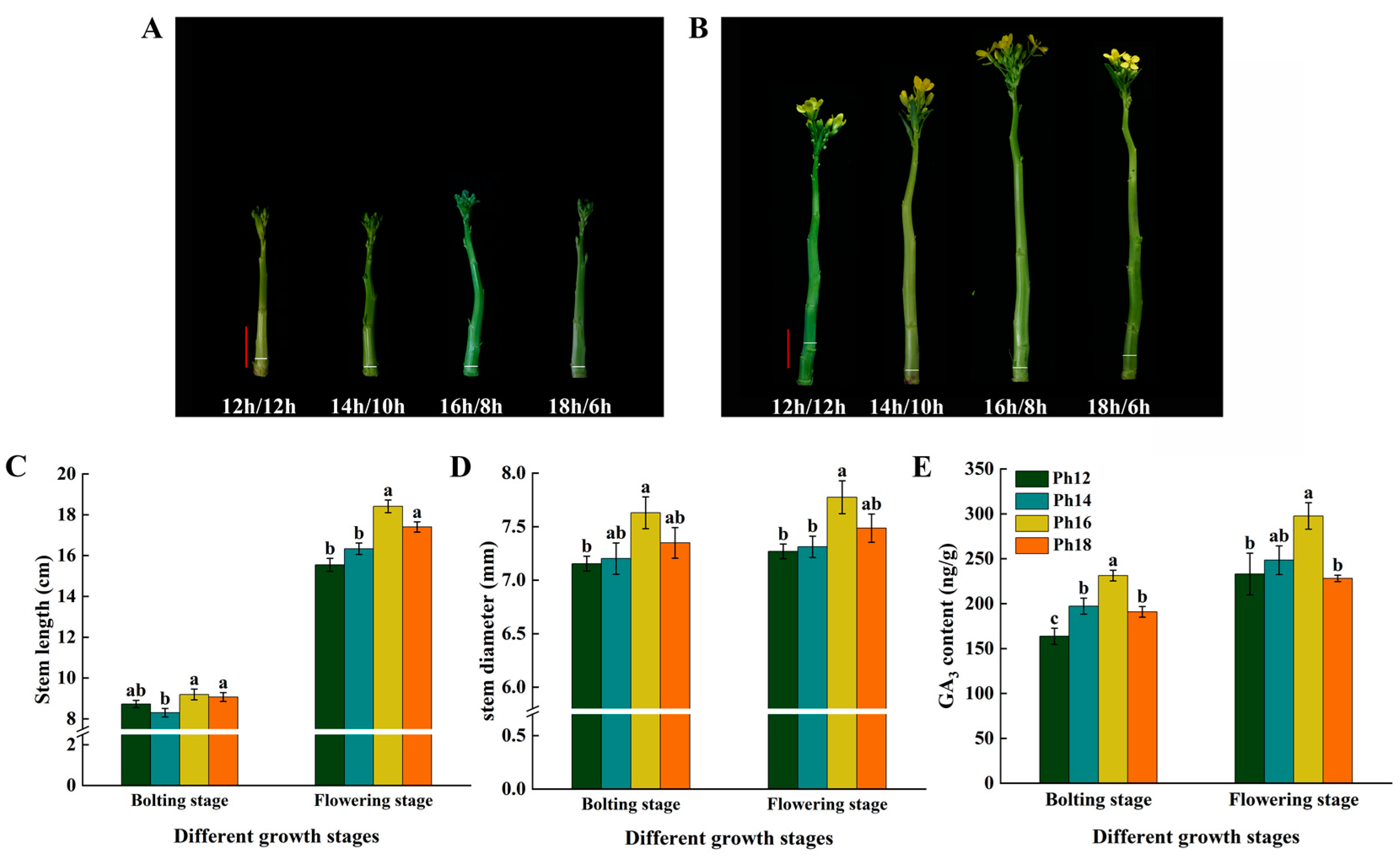 Horticulturae 09 01349 g005