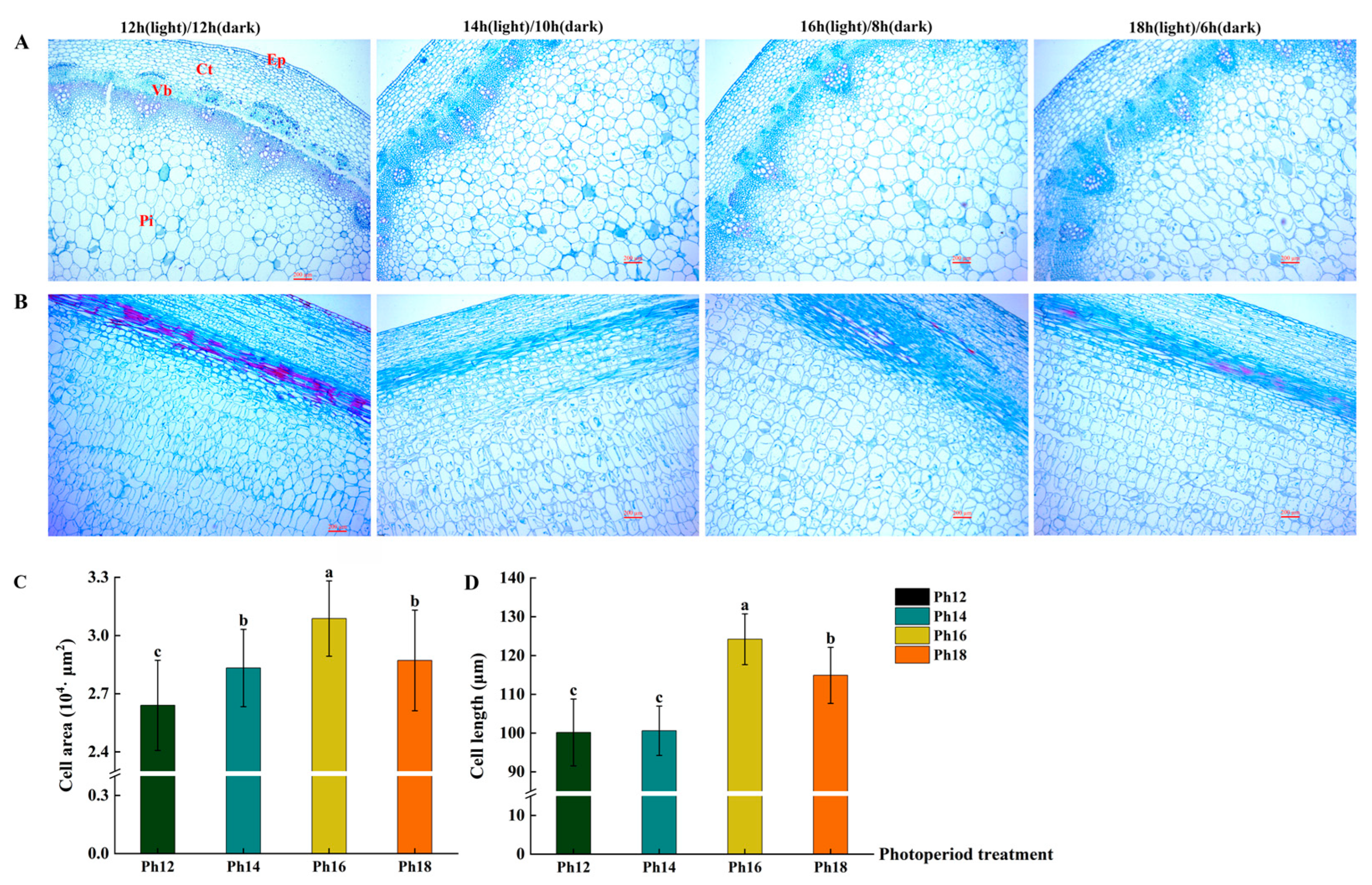 Horticulturae 09 01349 g006