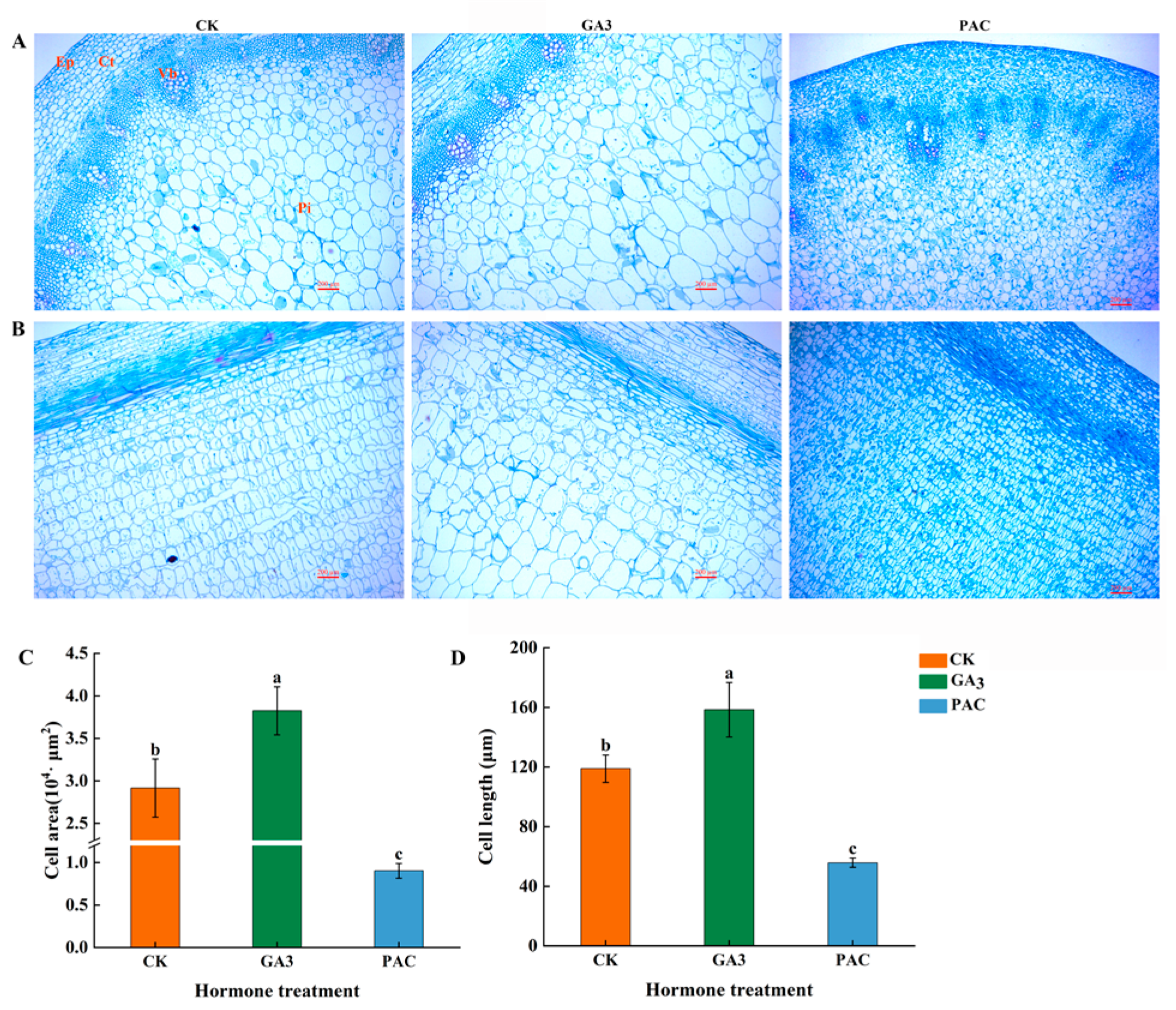 Horticulturae 09 01349 g010