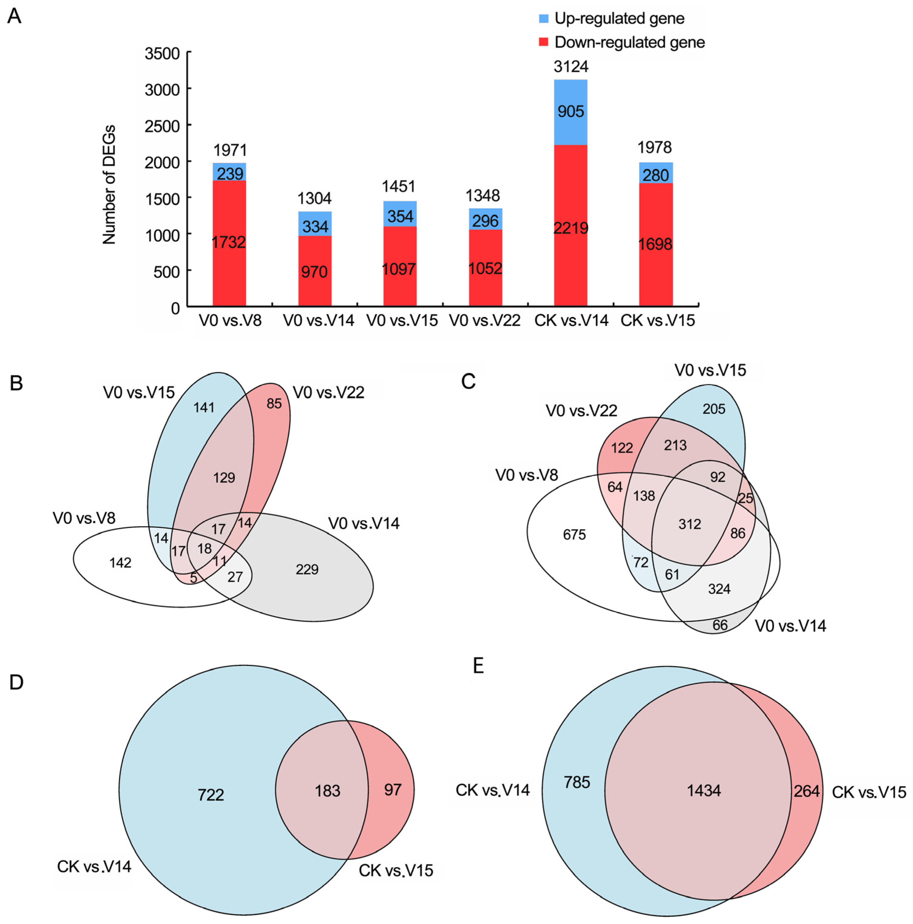 Horticulturae 09 01353 g002 Horticulturae 09 01353 g002