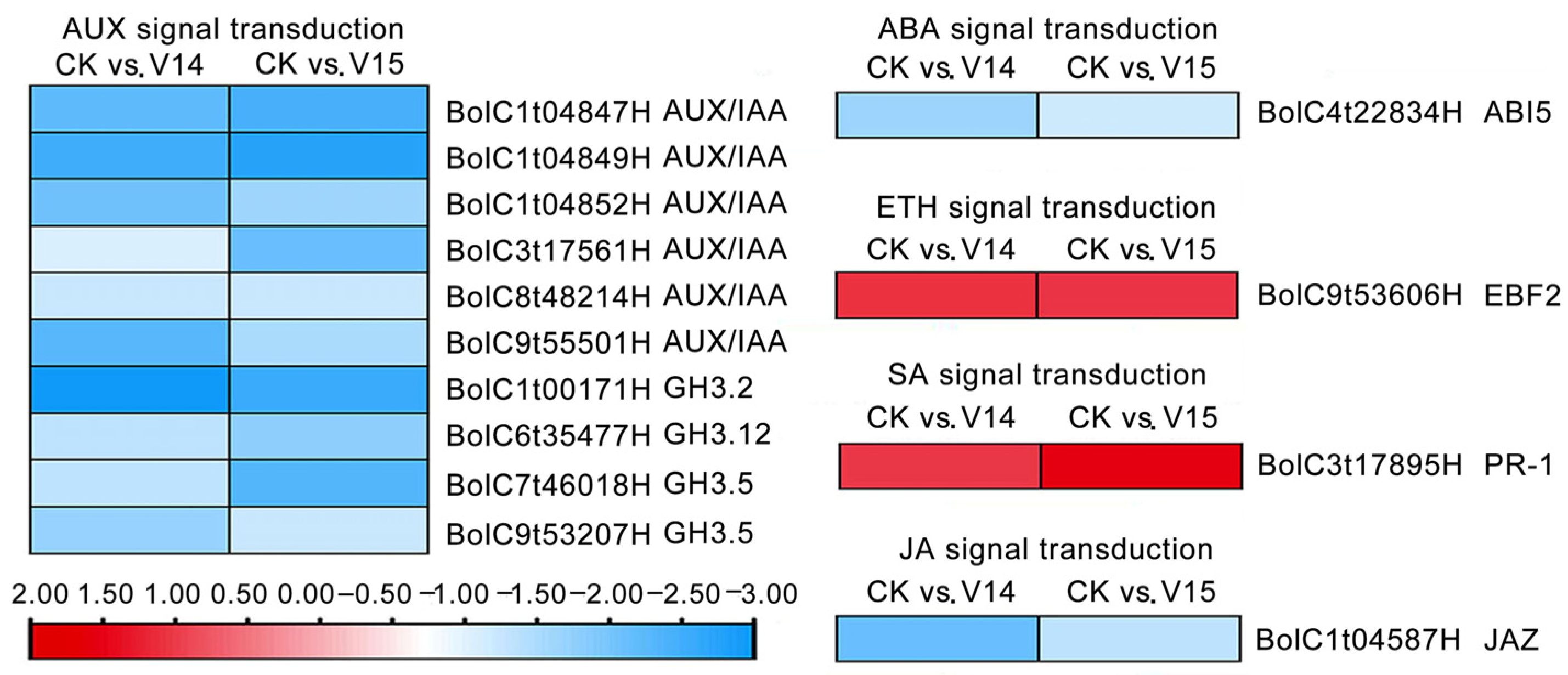 Horticulturae 09 01353 g006 Horticulturae 09 01353 g006