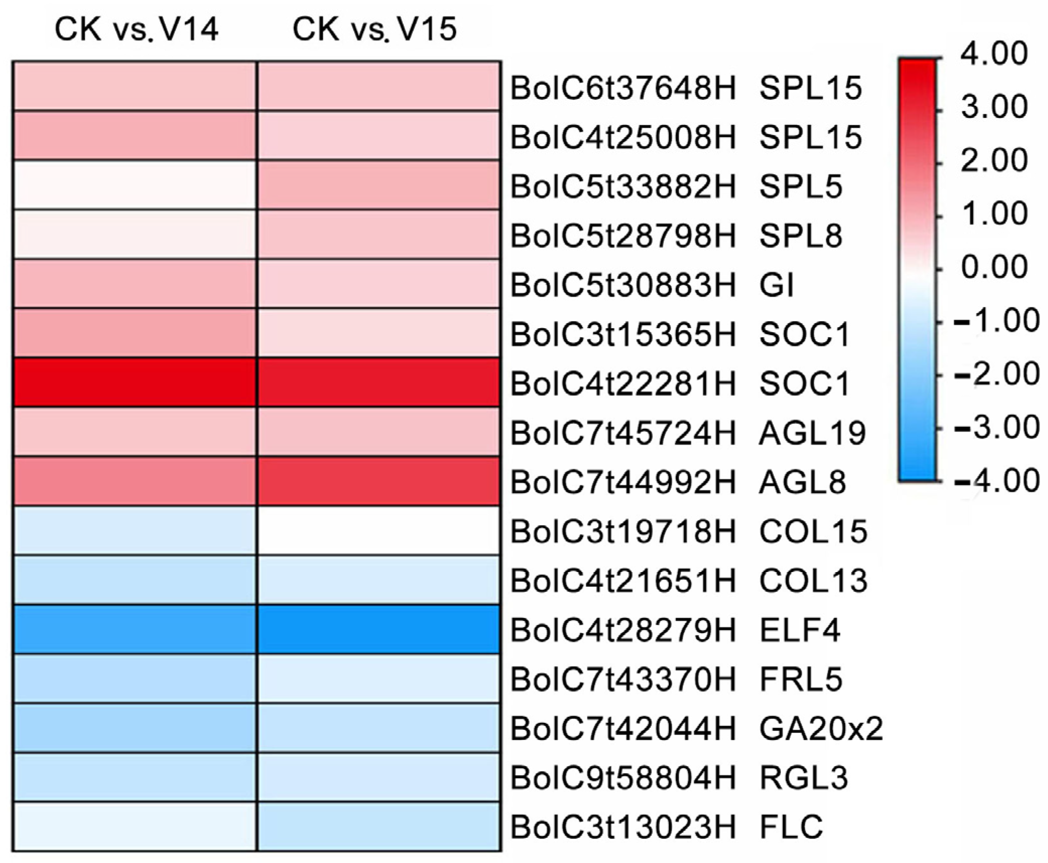 Horticulturae 09 01353 g008 Horticulturae 09 01353 g008