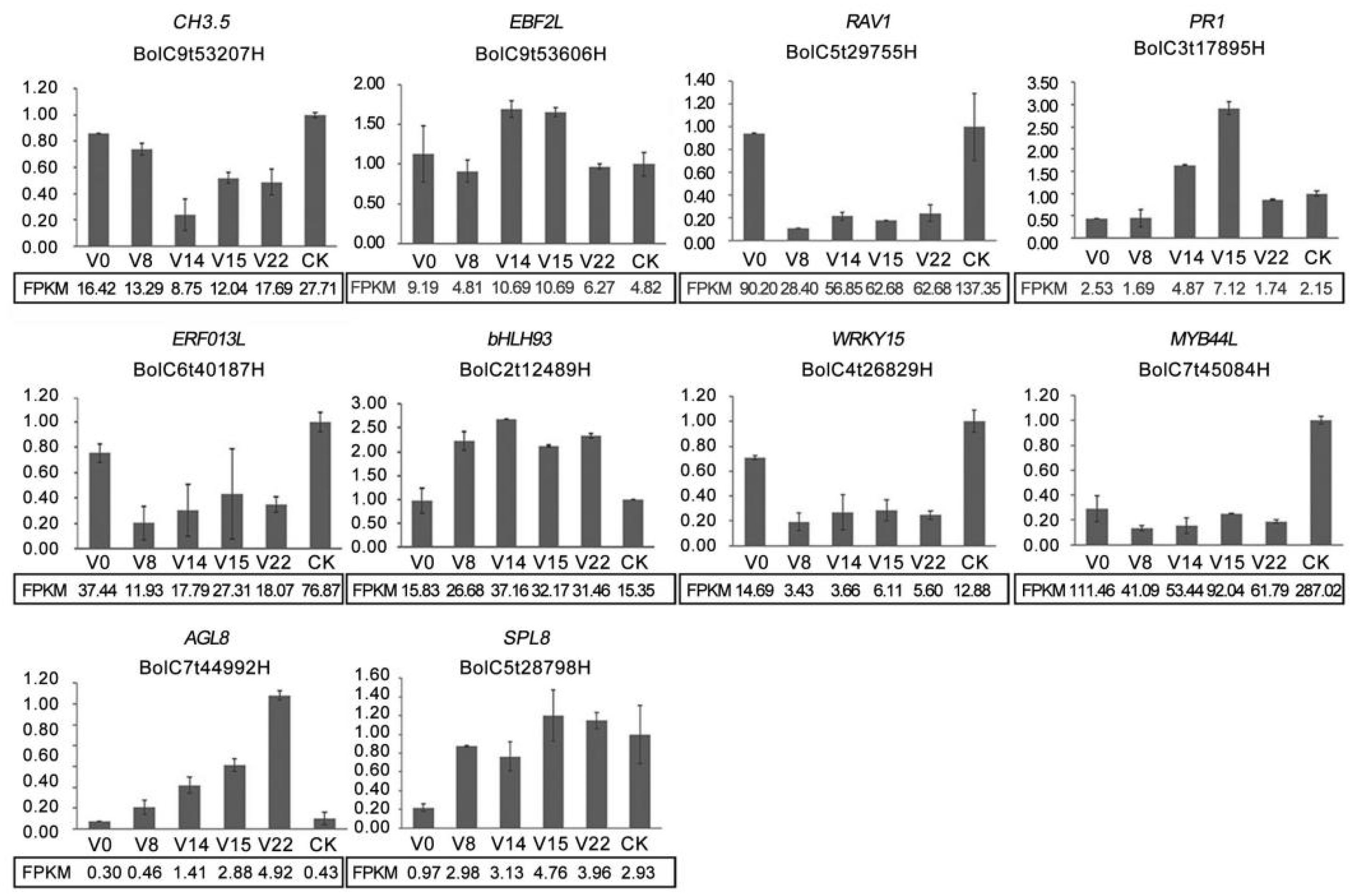 Horticulturae 09 01353 g010 Horticulturae 09 01353 g010