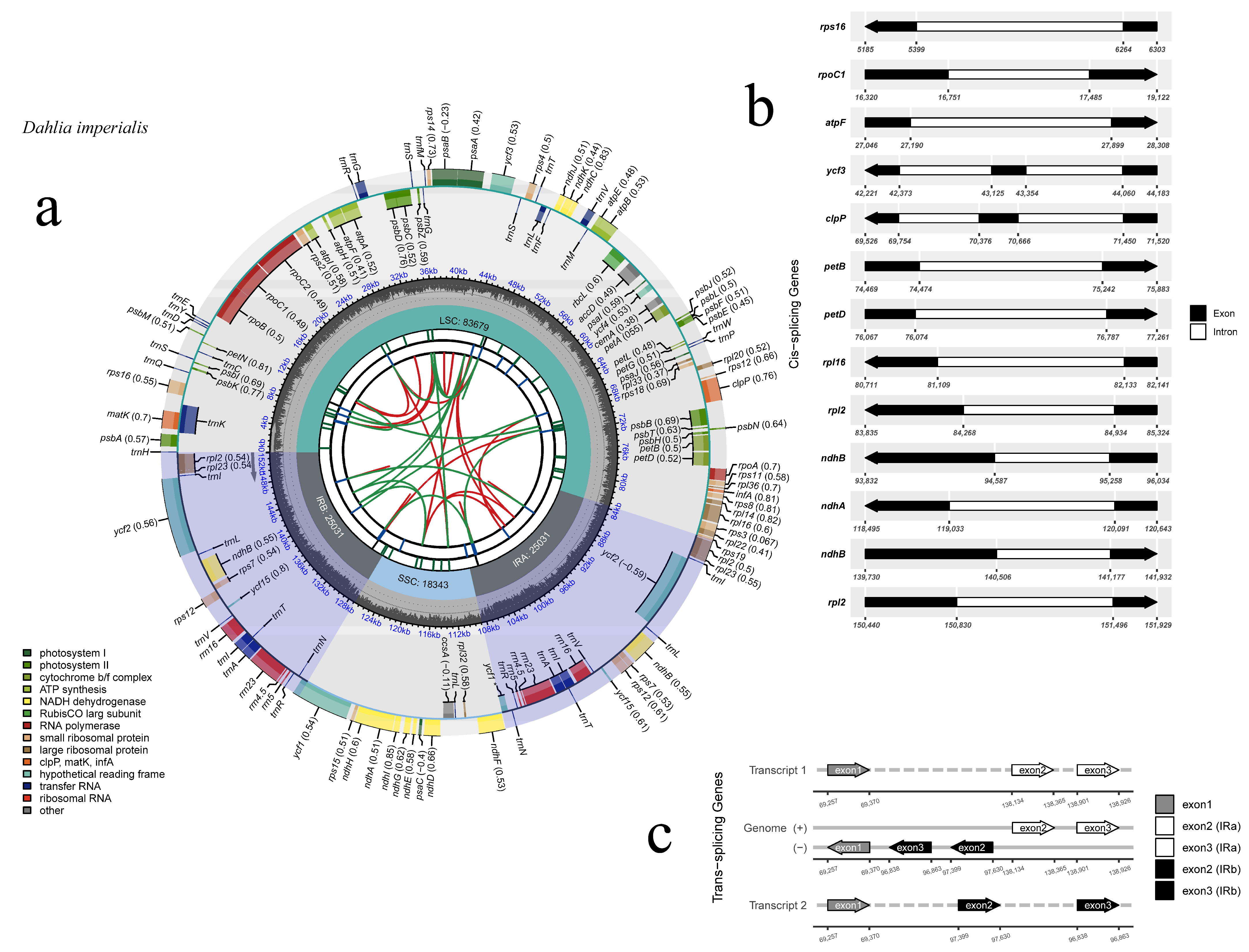 Horticulturae 10 00007 g001