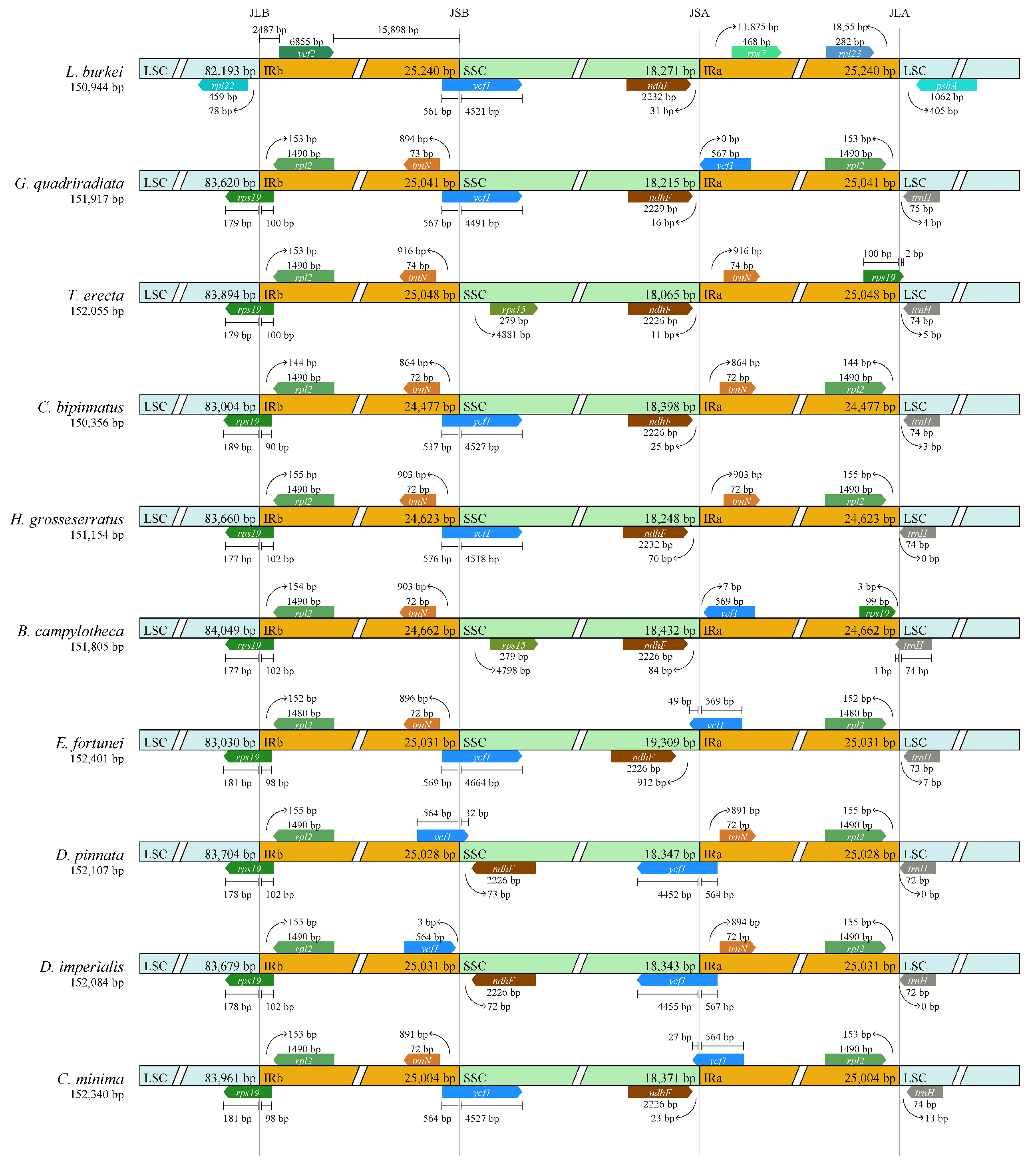 Horticulturae 10 00007 g007