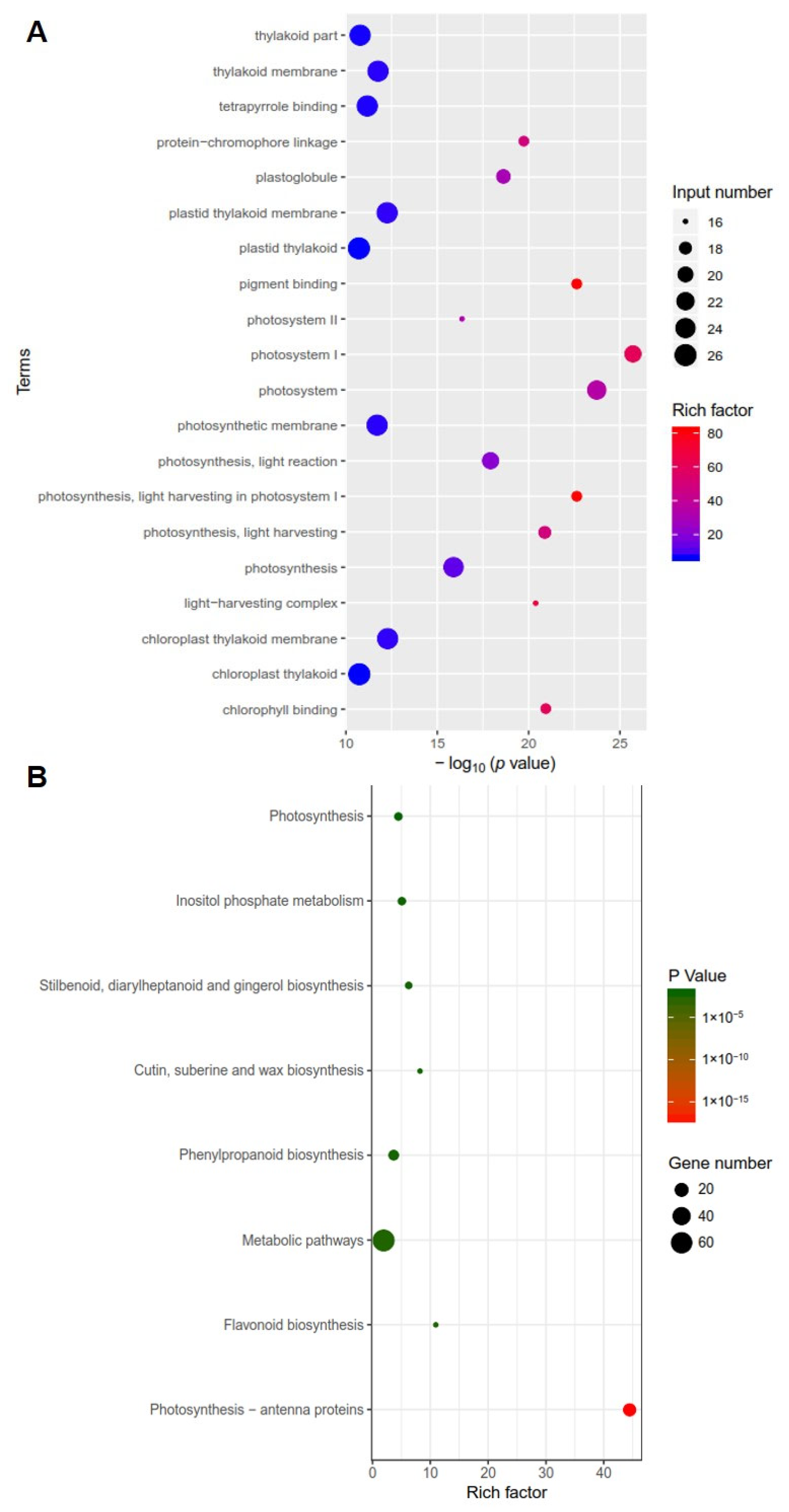 Horticulturae 10 00011 g004