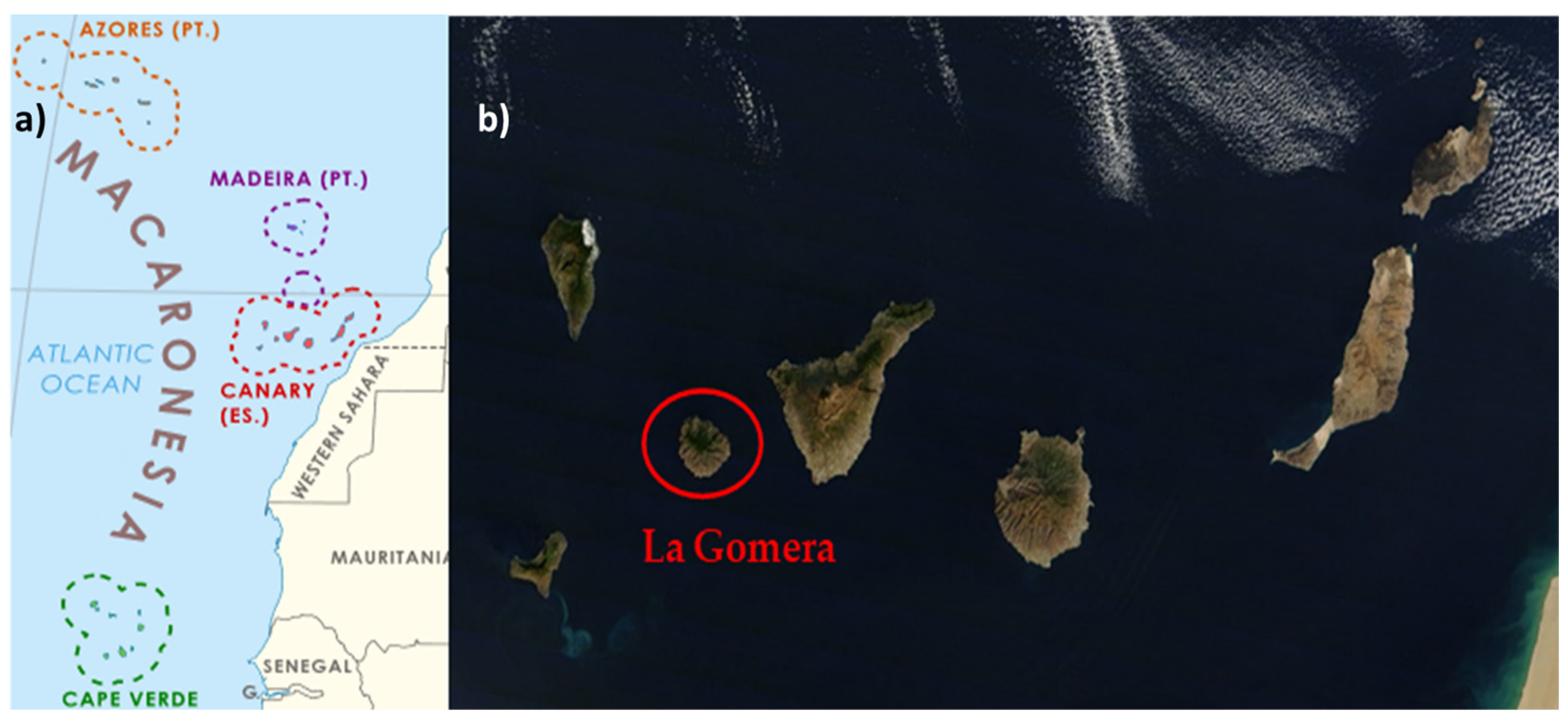 Horticulturae 10 00014 g001