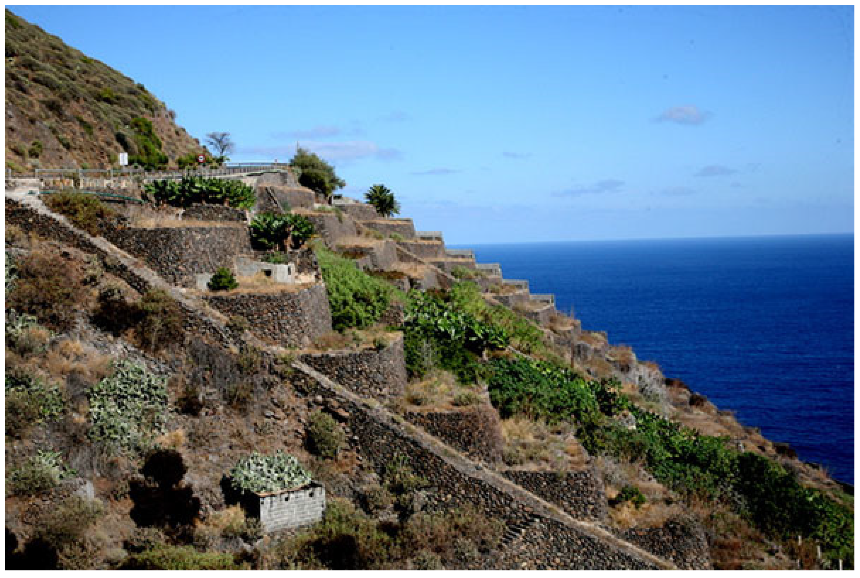 Horticulturae 10 00014 g002