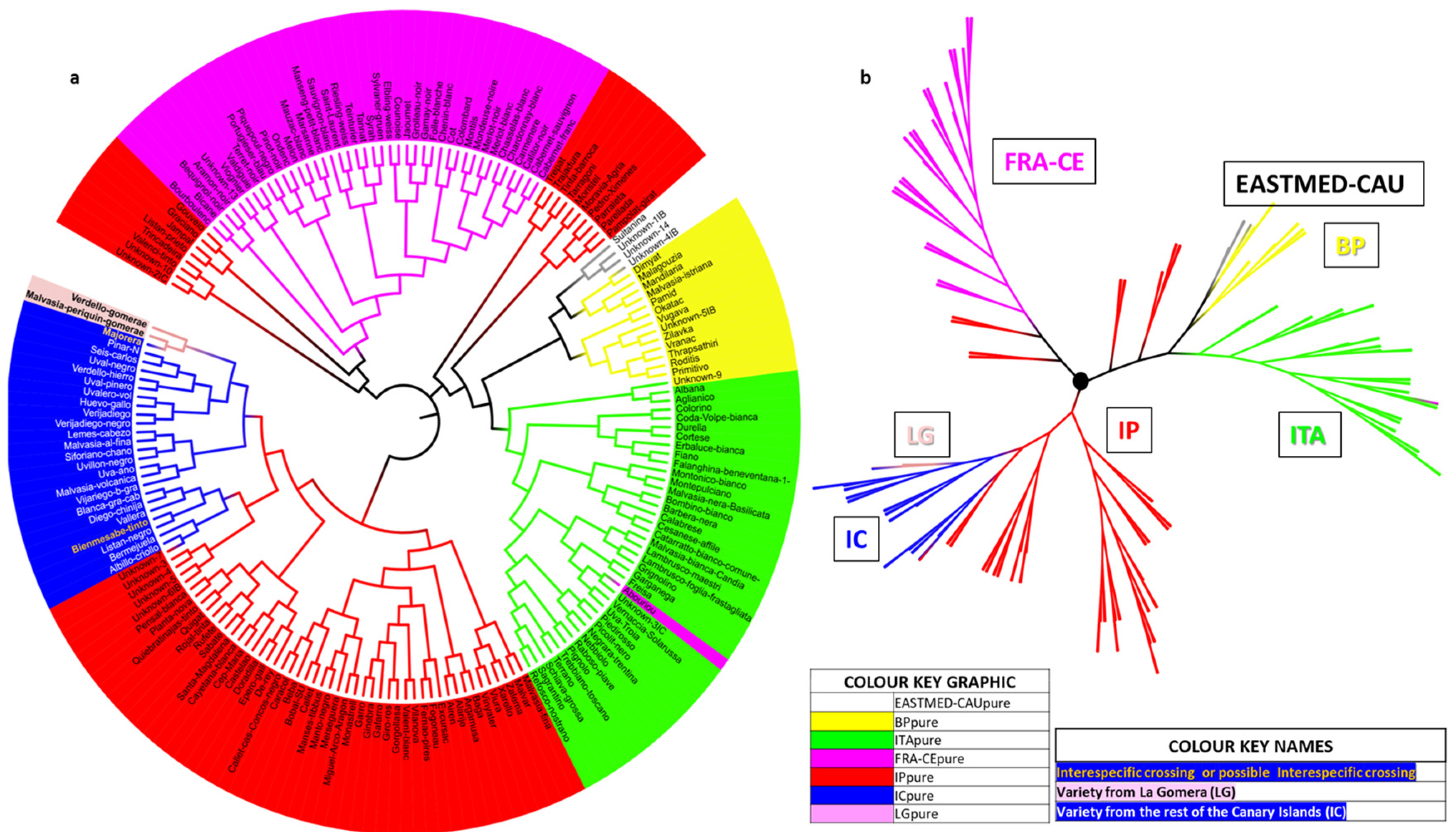 Horticulturae 10 00014 g009