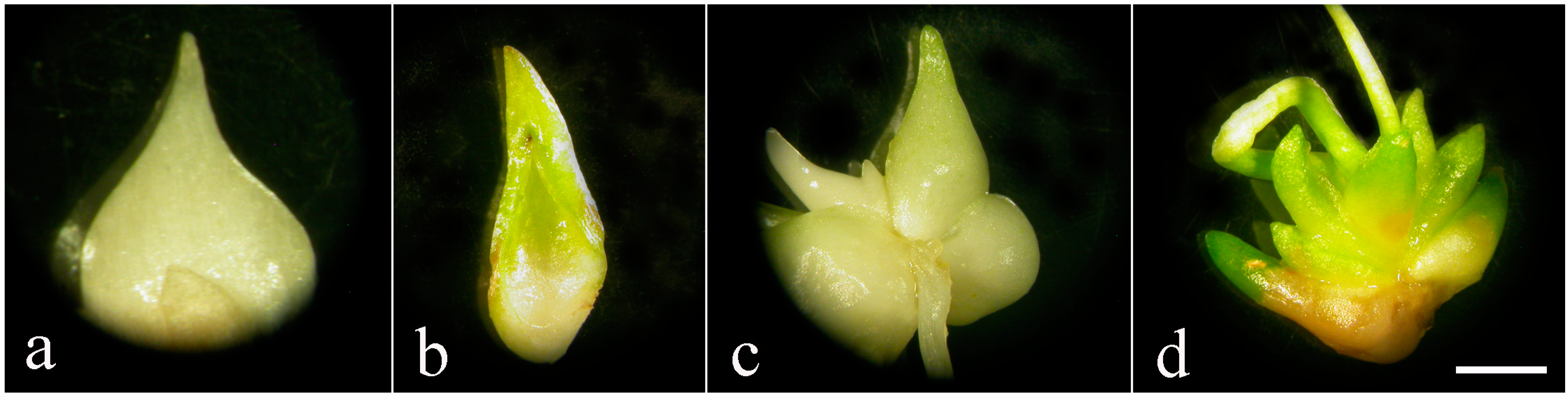 Horticulturae 10 00017 g001