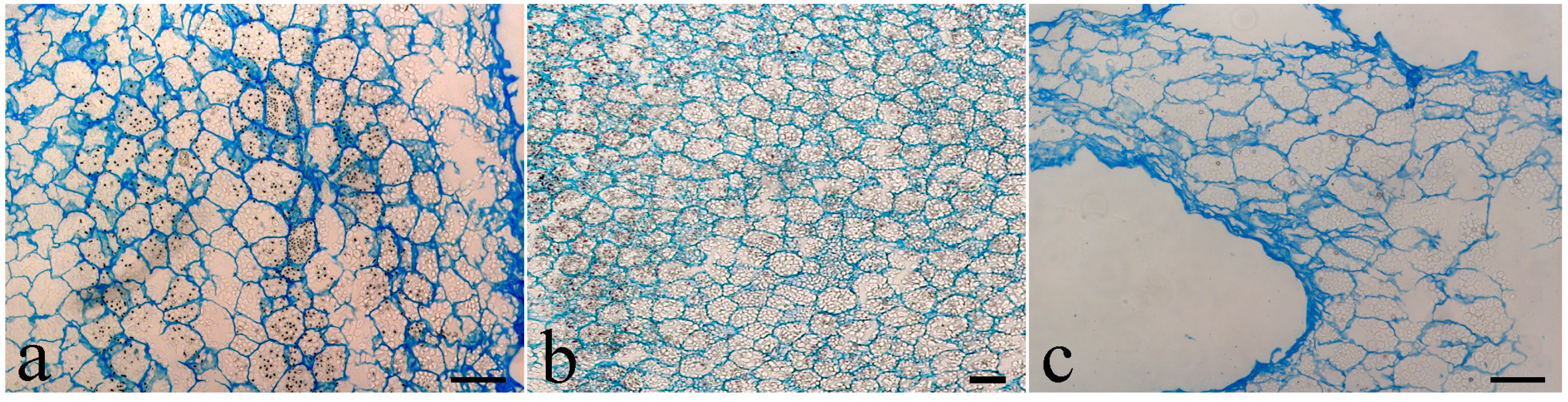 Horticulturae 10 00017 g003